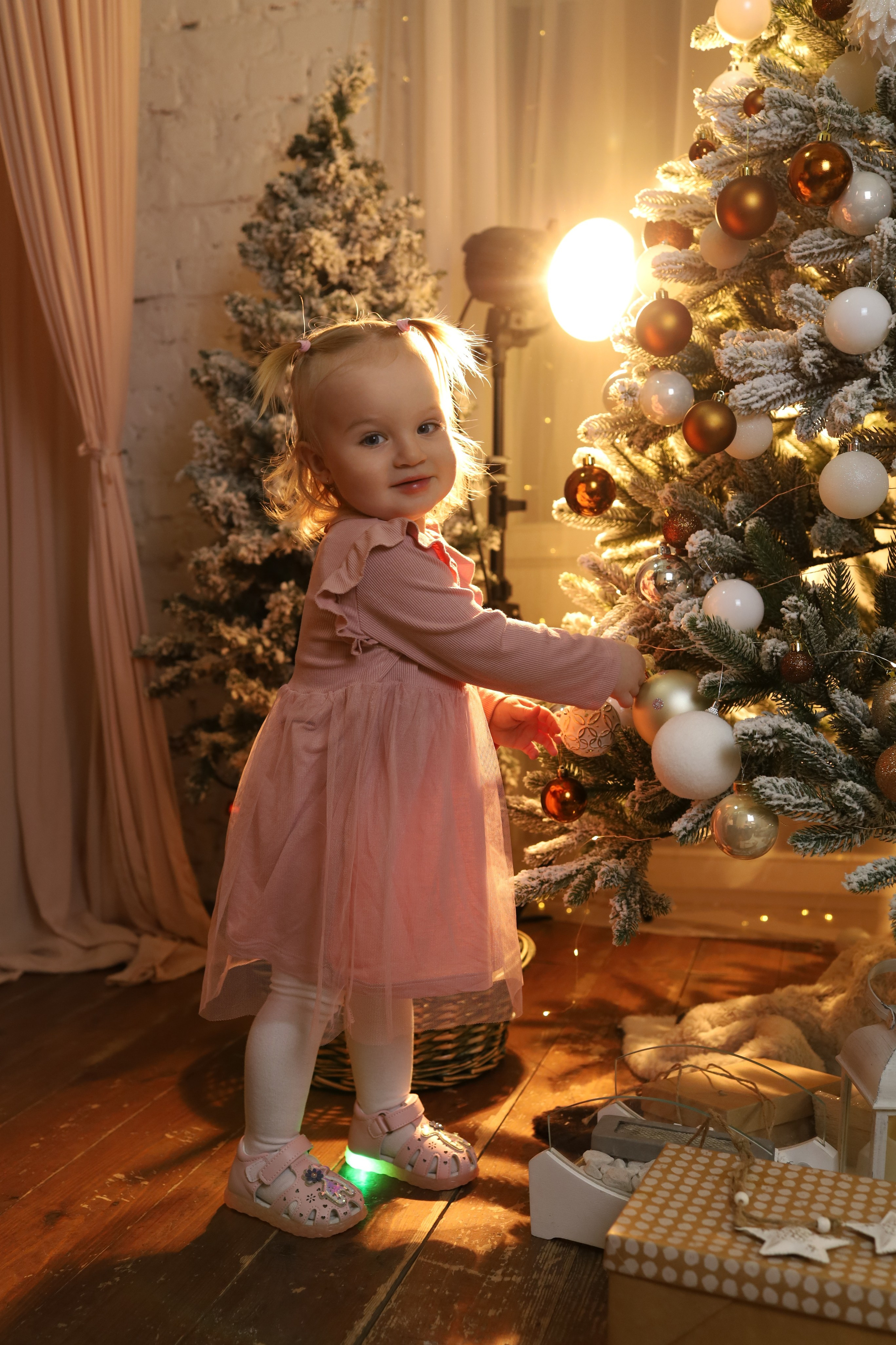 Новый Год 2026. Фотограф в Туле Аушева Юлия