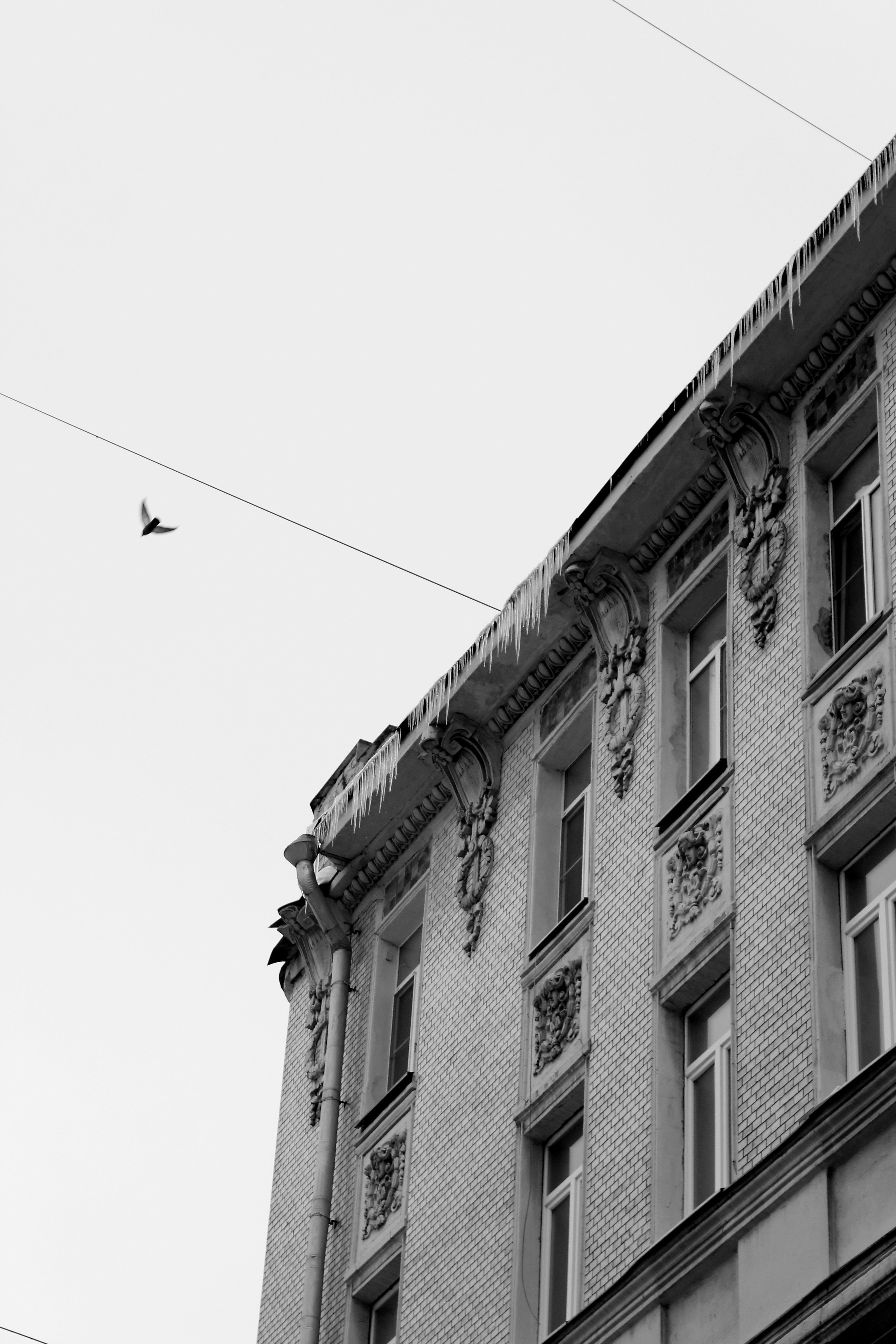 Тужикова Ольга. ARTEXPOPHOTO