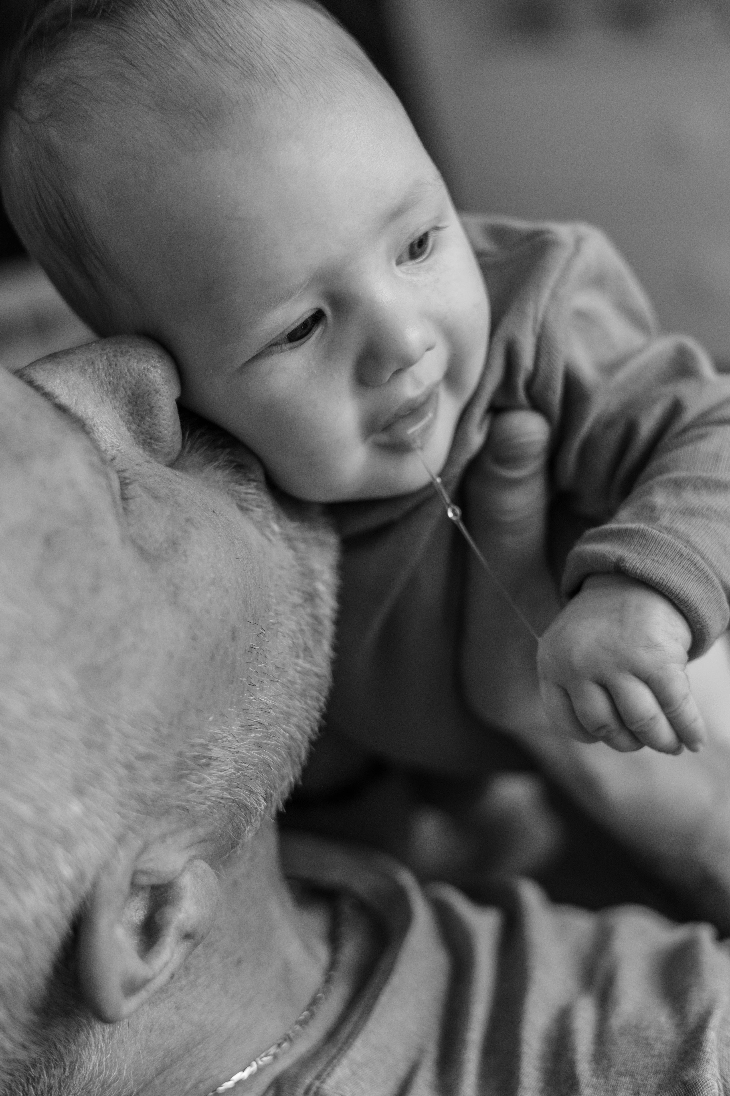 Брандт Олеся. ARTEXPOPHOTO