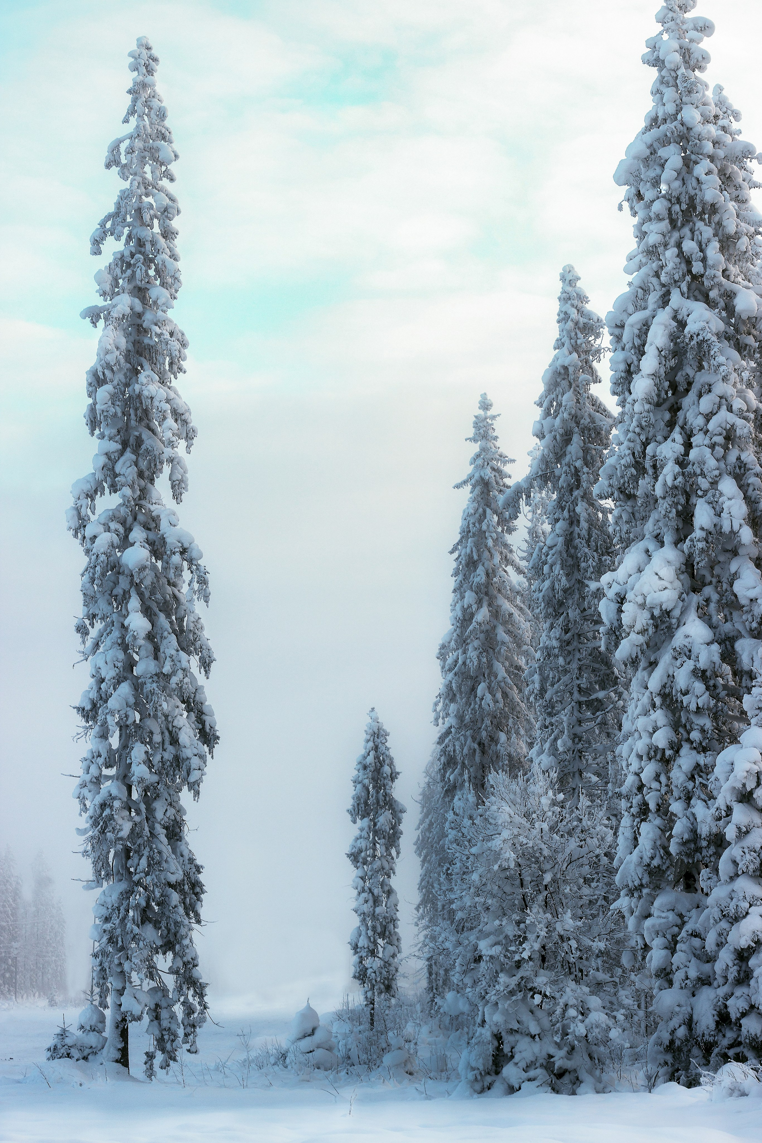 Фото (Пейзаж). Фото и видео съемка в Москве: Одежда, обувь и аксессуары; Еда и продукты питания; Мототехника; Электро и бензо инструменты; Бытовая техника