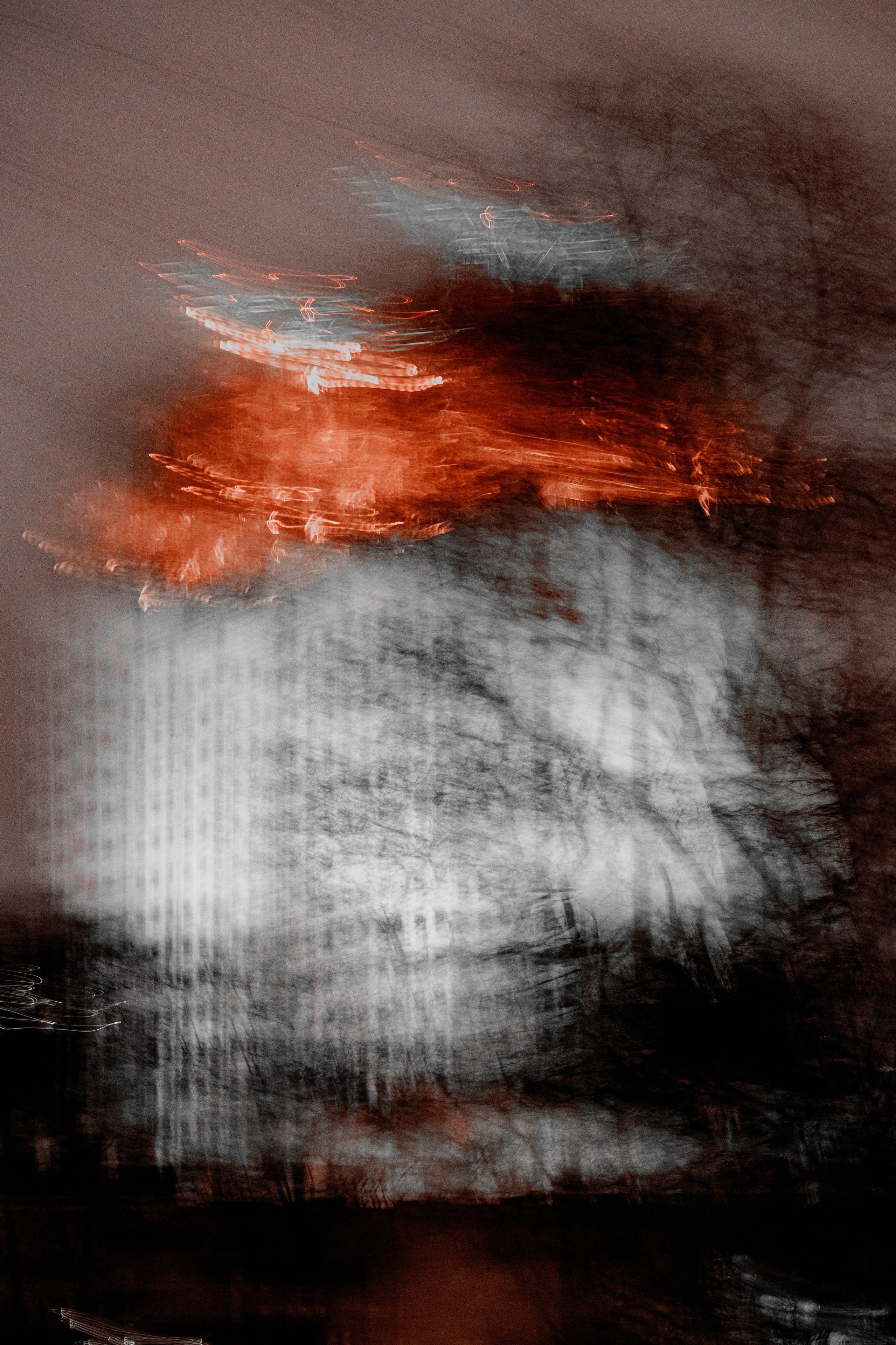 Микрокосмос. Памяти академика В. А. Рубакова. Фотографии Лены Соколовой