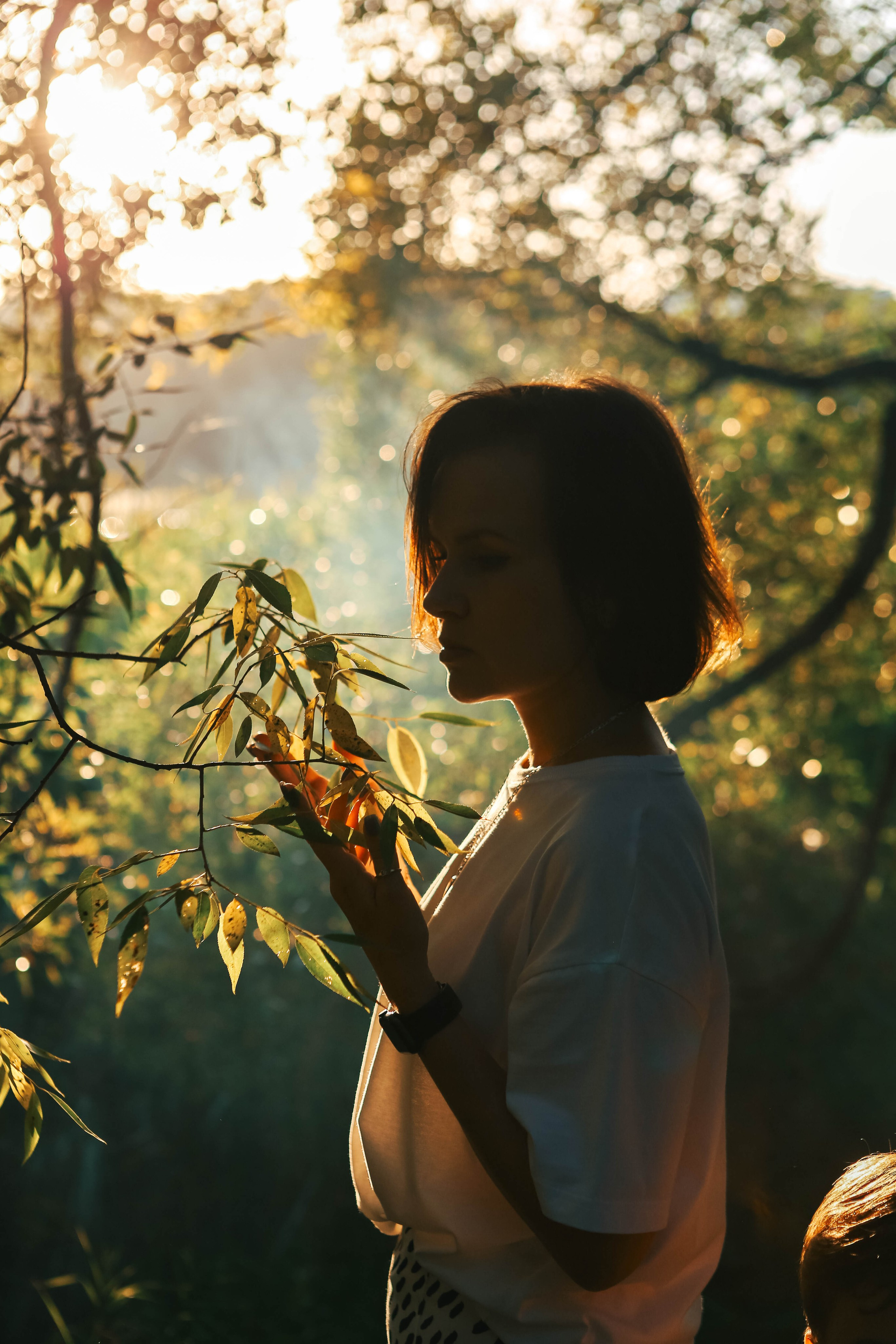подробнее о съемках