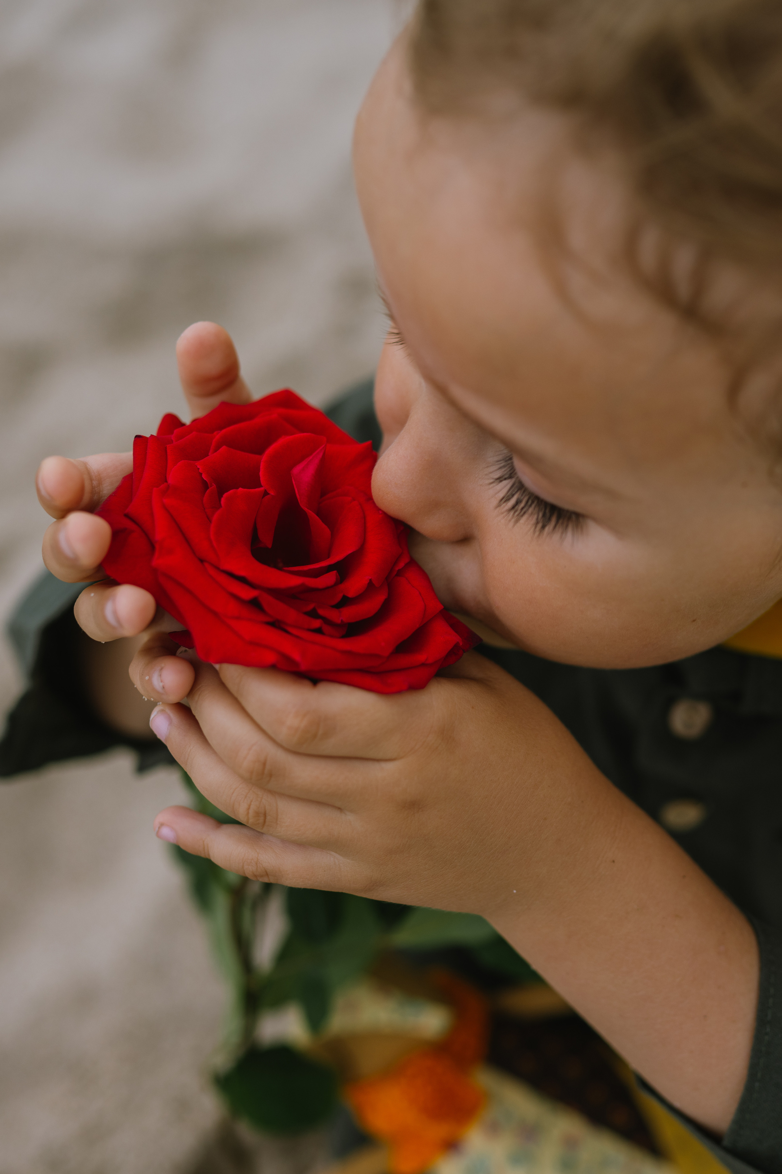 Стоимость. Фотограф Акимова Валентина