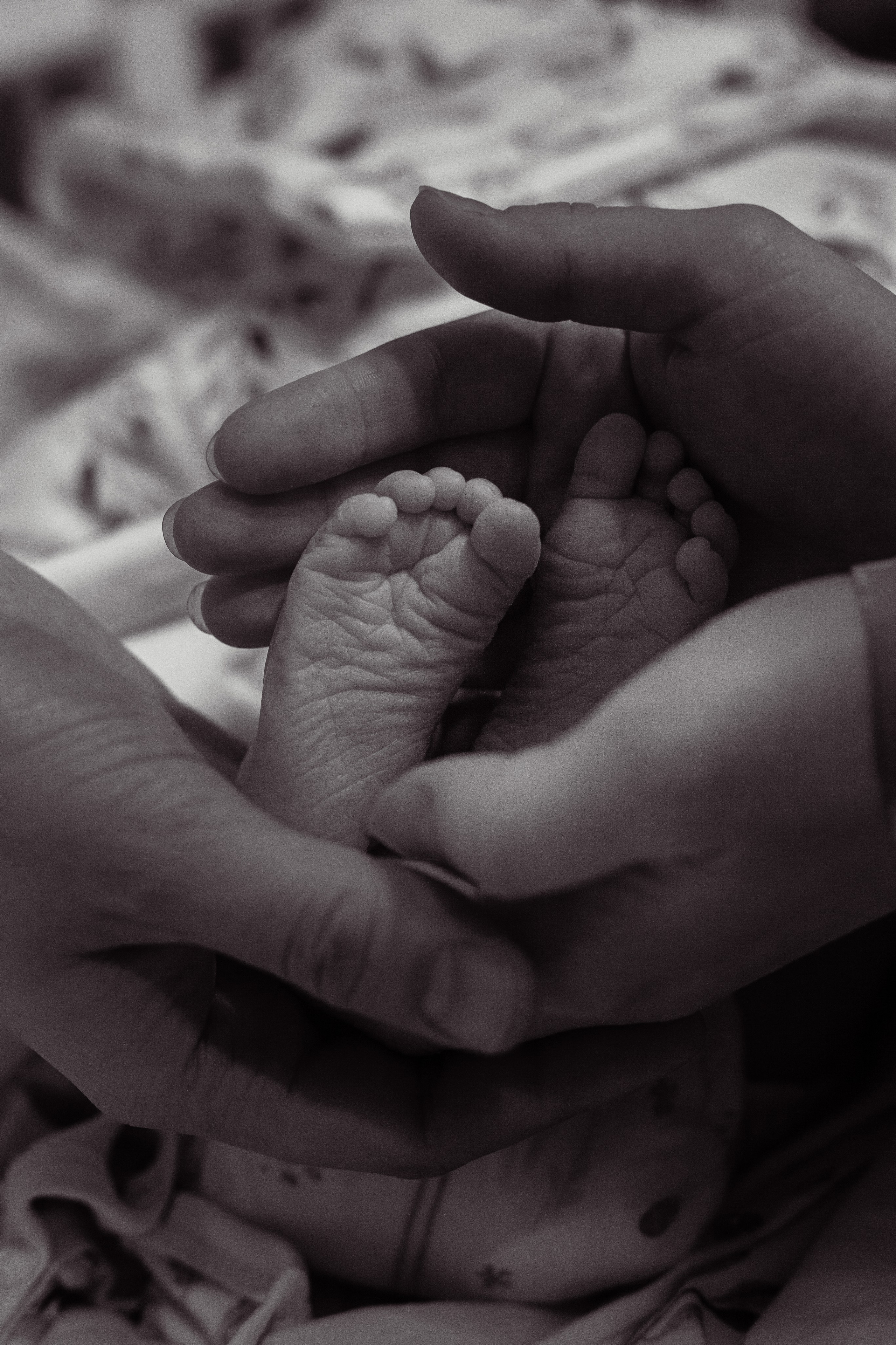 Услуги. Профессиональное фото в Казани: от идеи до результата. Фотограф Яна Мур