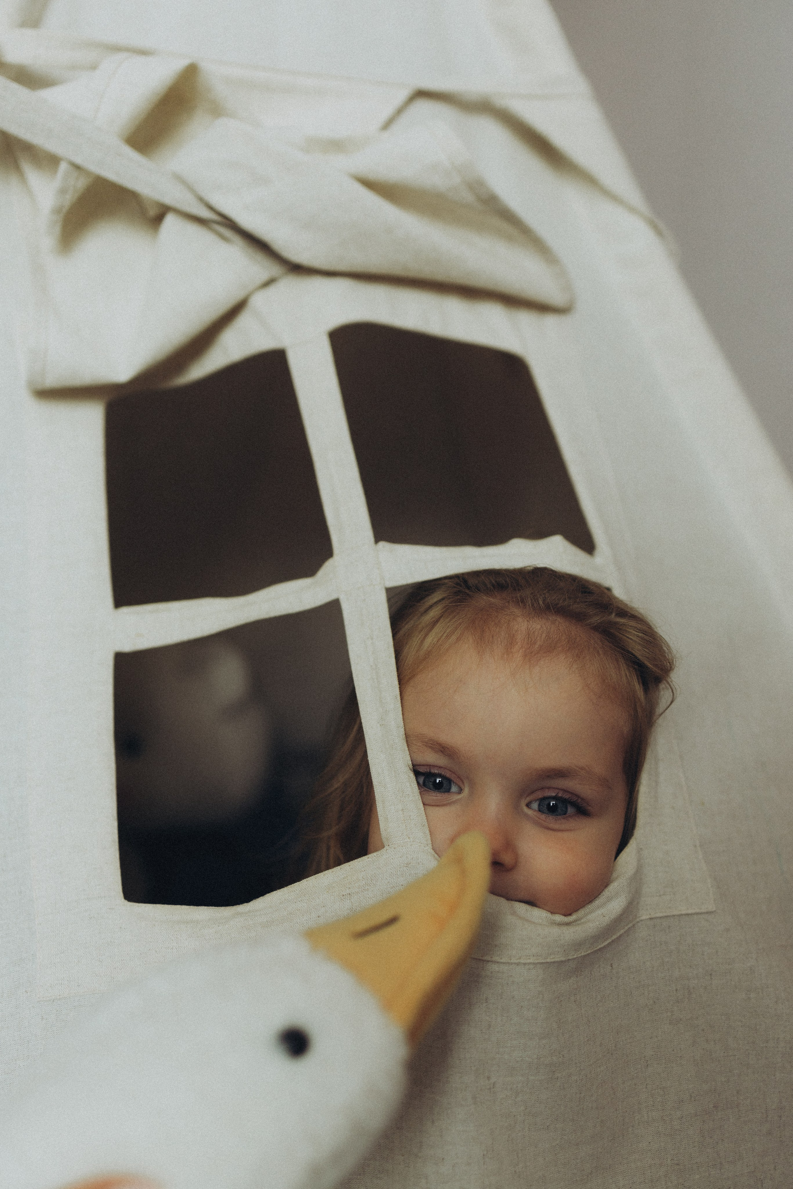 Пресеты «COLOR' 25»