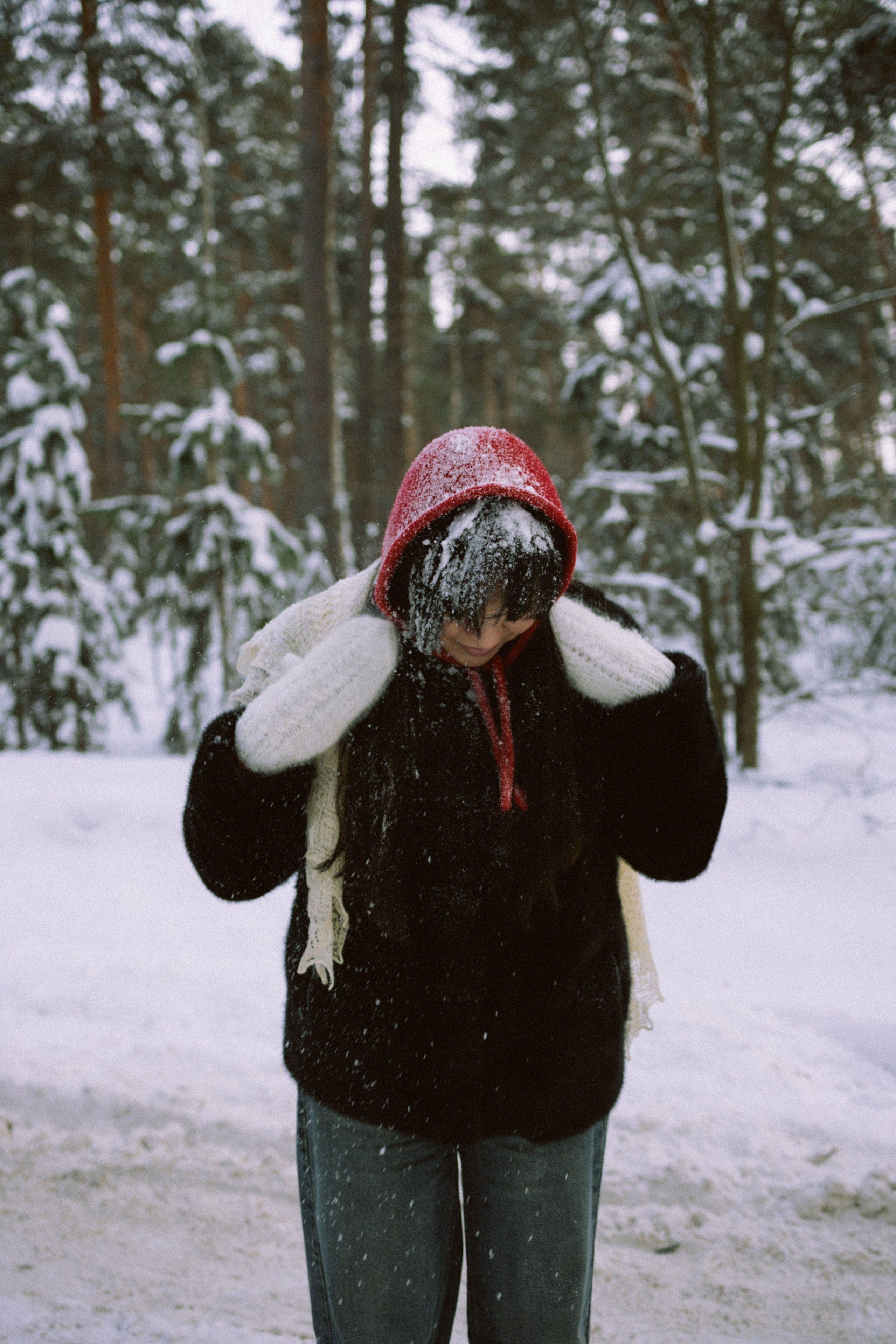 Пресеты «ZIMA/26»