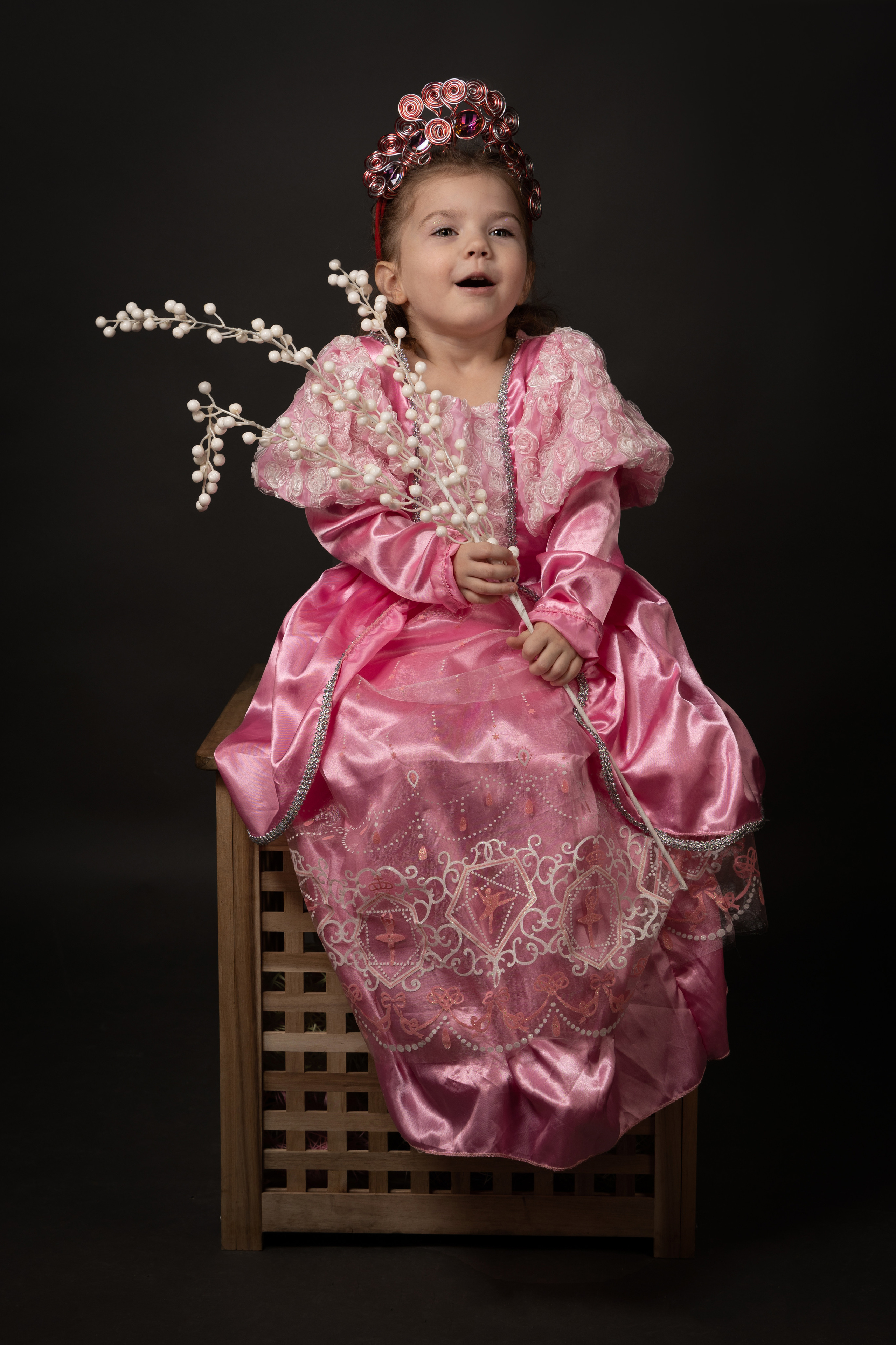 УСЛУГИ. Фотограф Владимир Роля