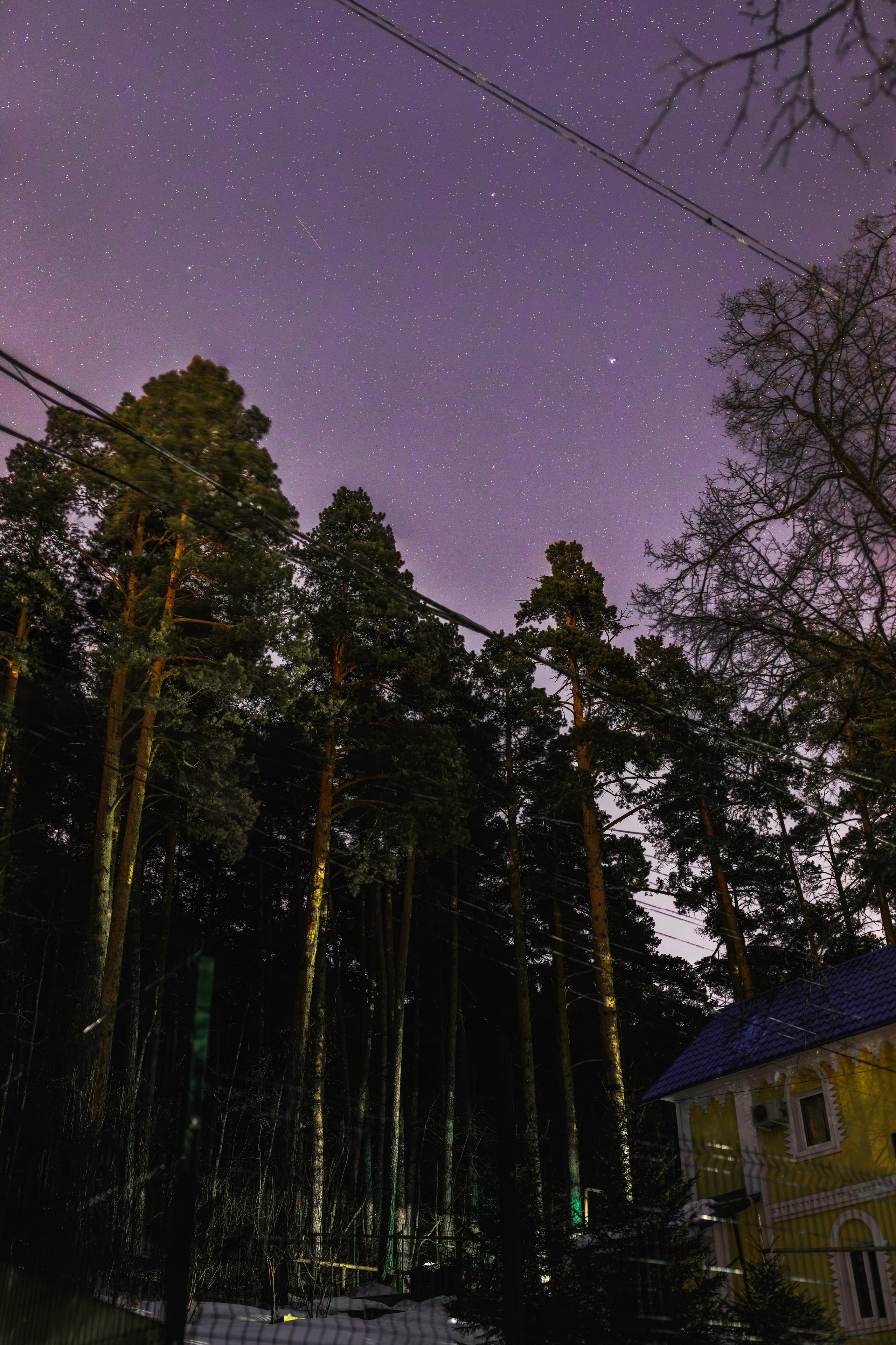 Фотограф Леонид Мартенс