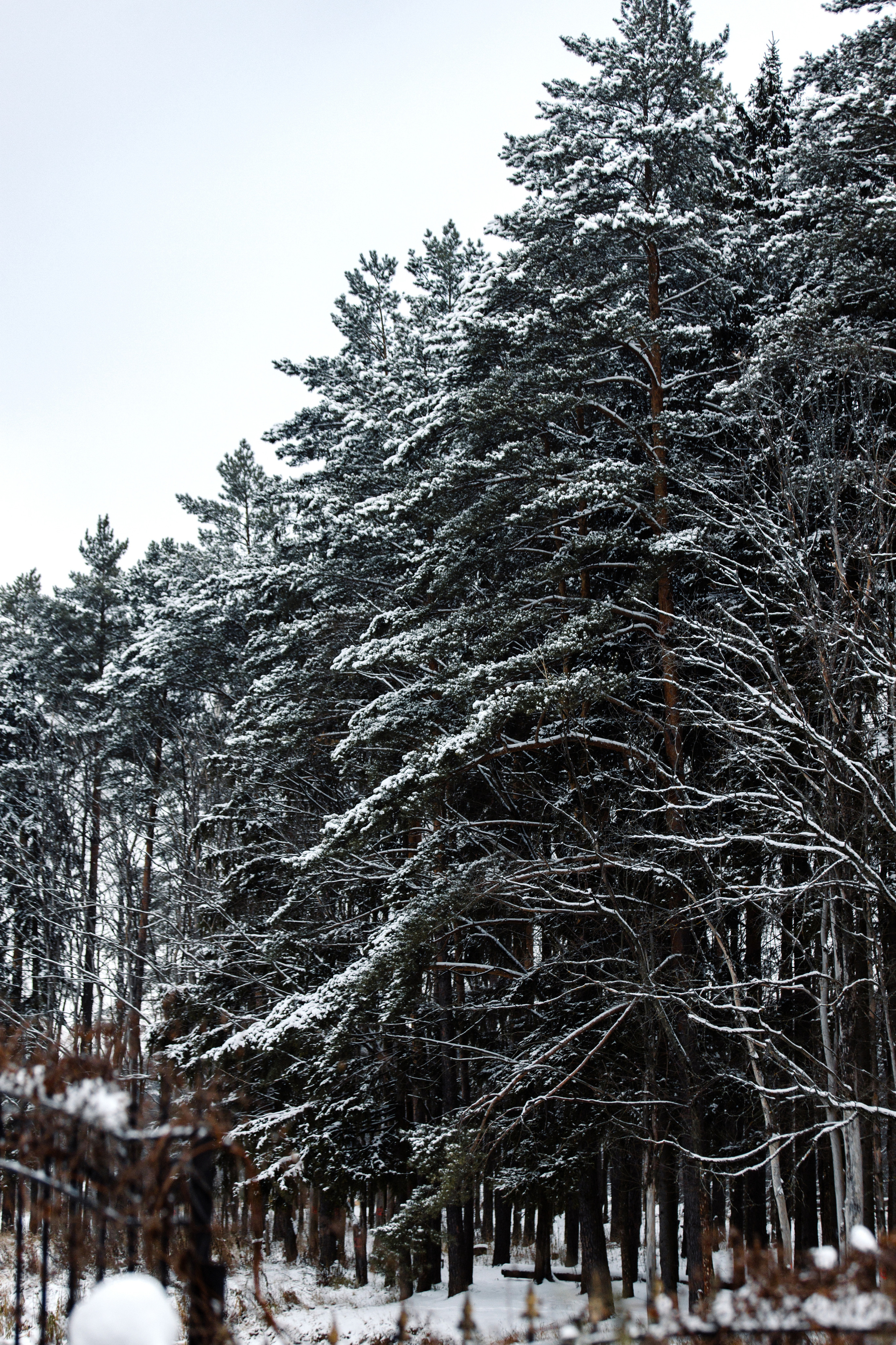 Скачать пресеты для Lightroom