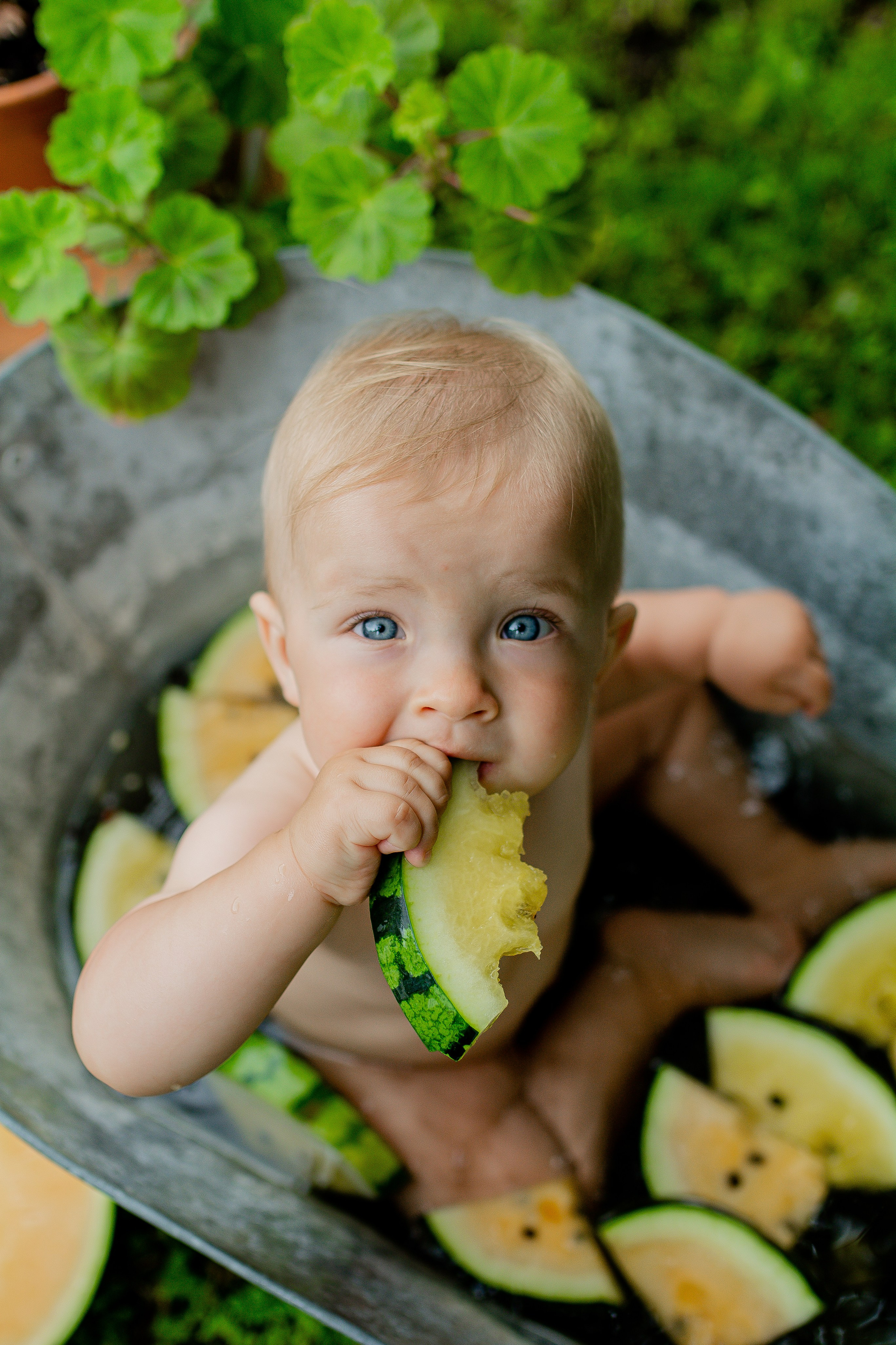 Услуги. Фотограф Регина Лисицына