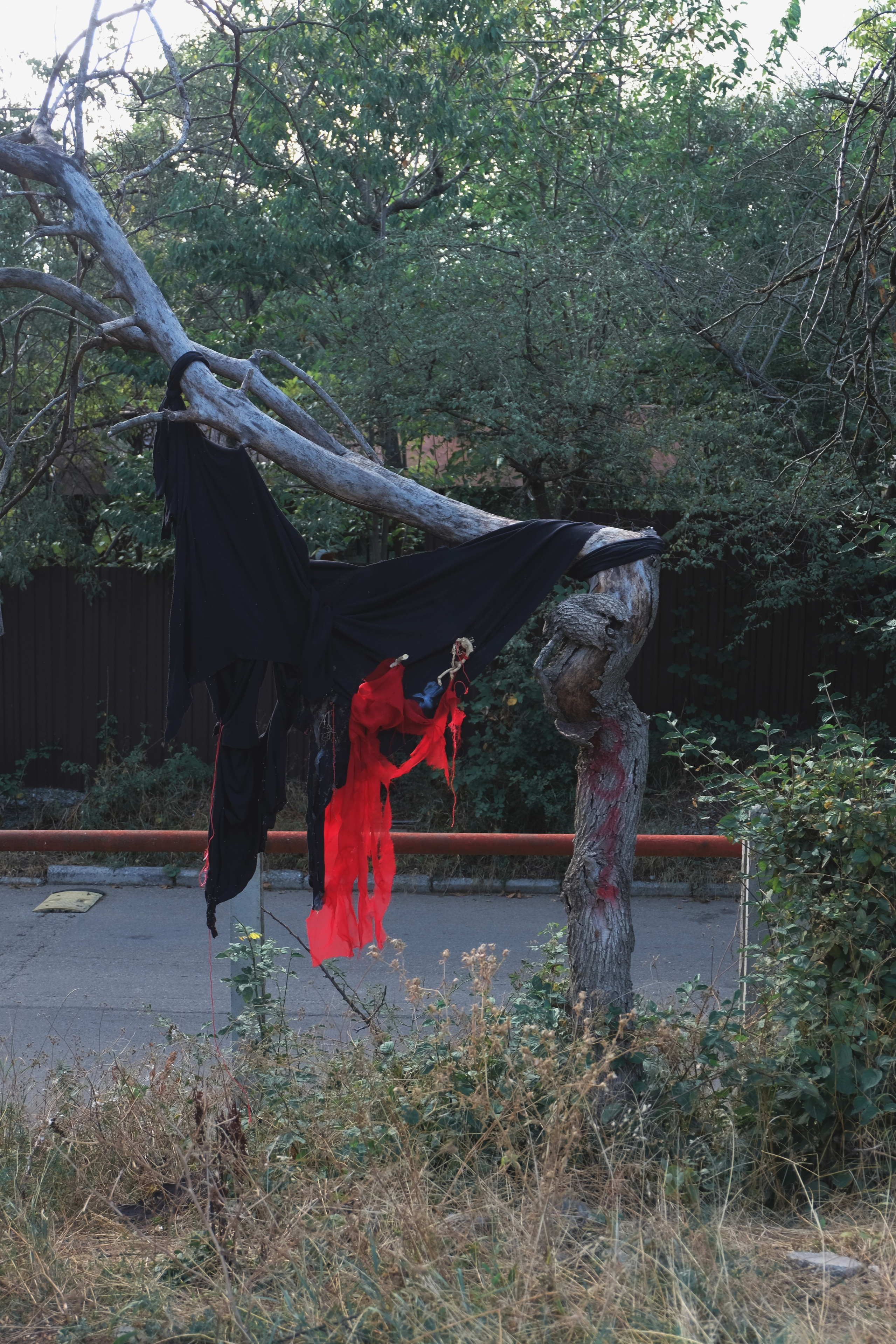 Параллельная программа — Красная 2023