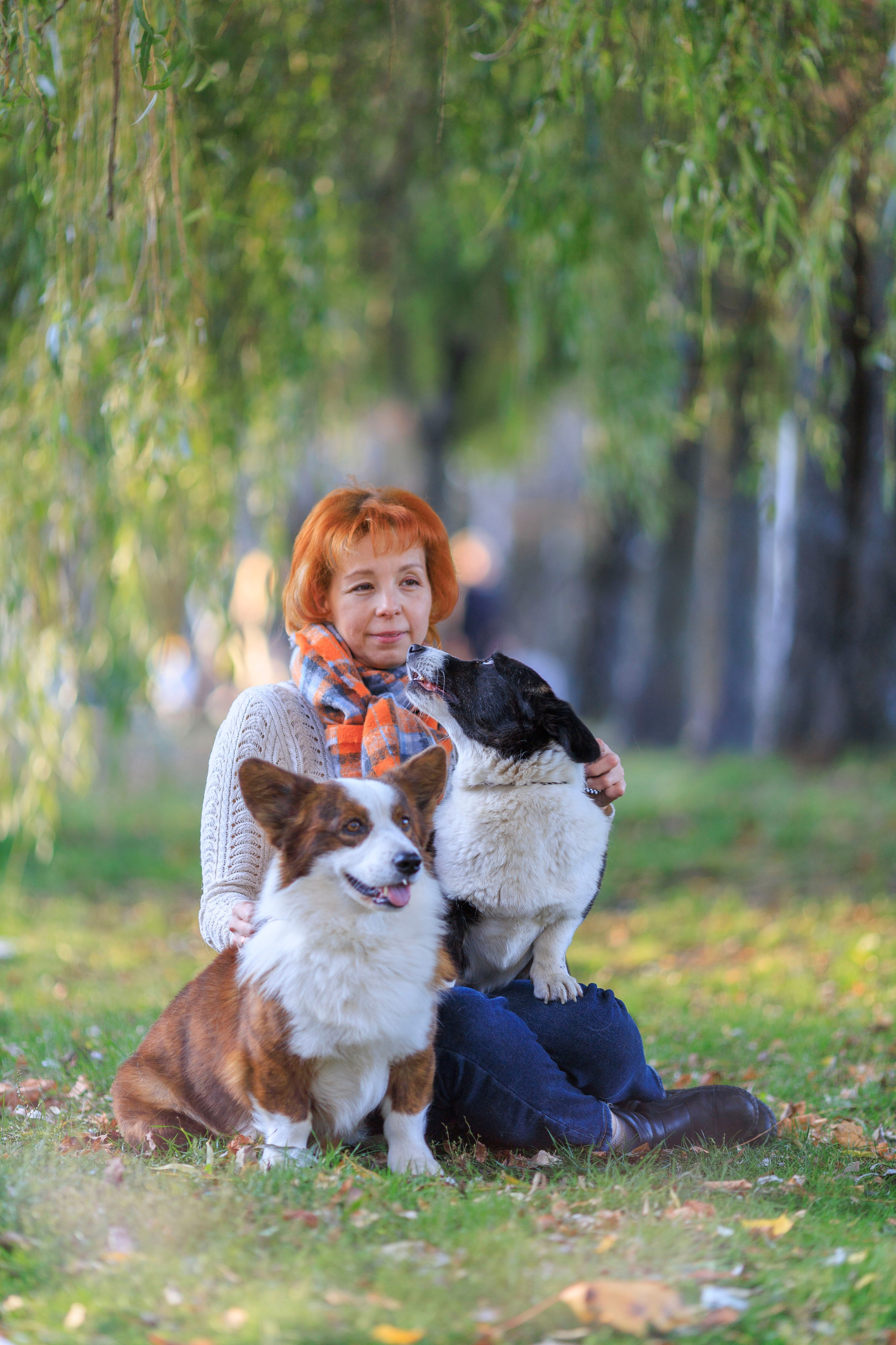 Контакты. Ice Fantasy kennel: professional breeding of Siberian huskies and wels