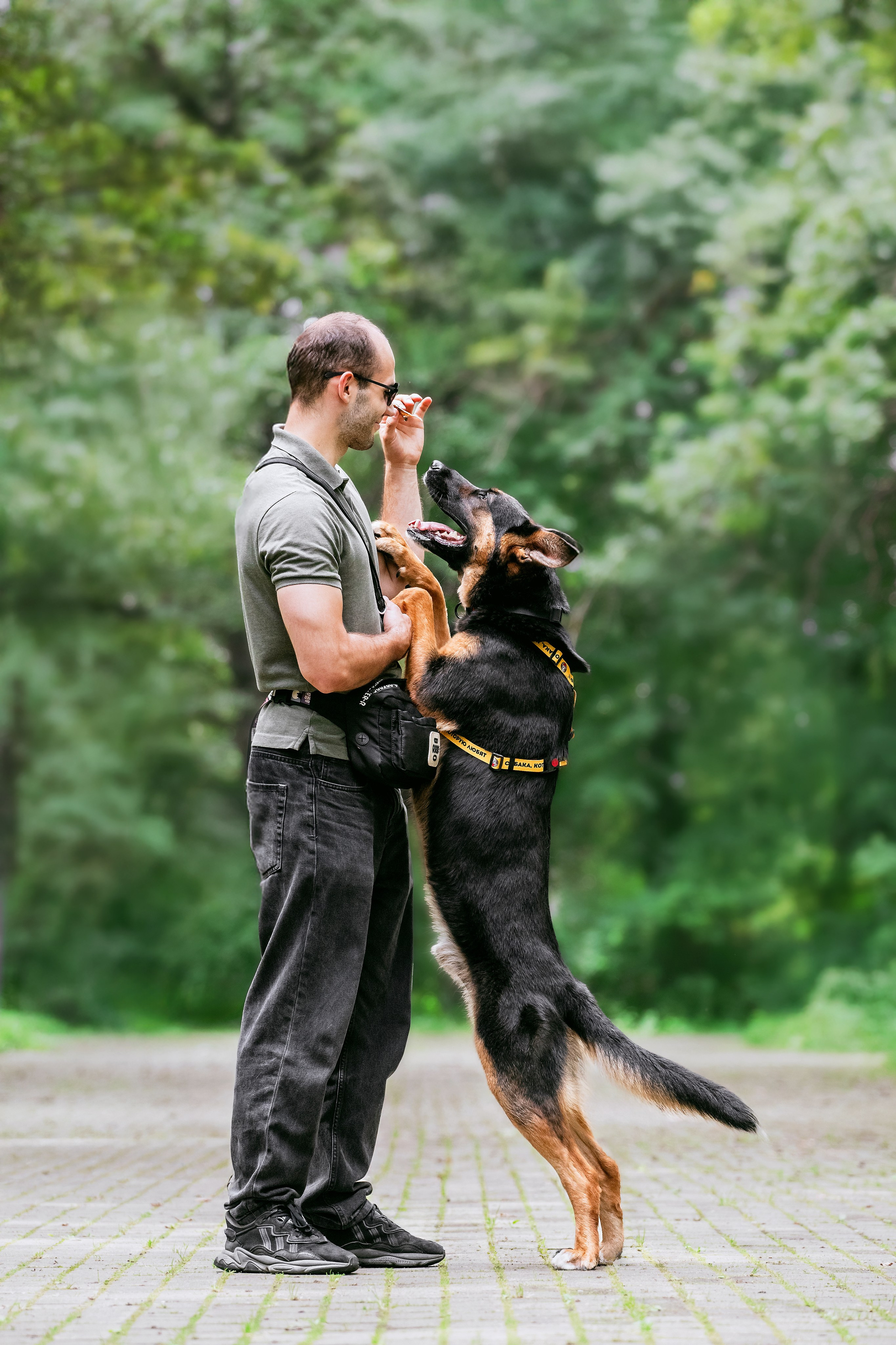 Услуги. Фотограф-анималист Татьяна Степанова