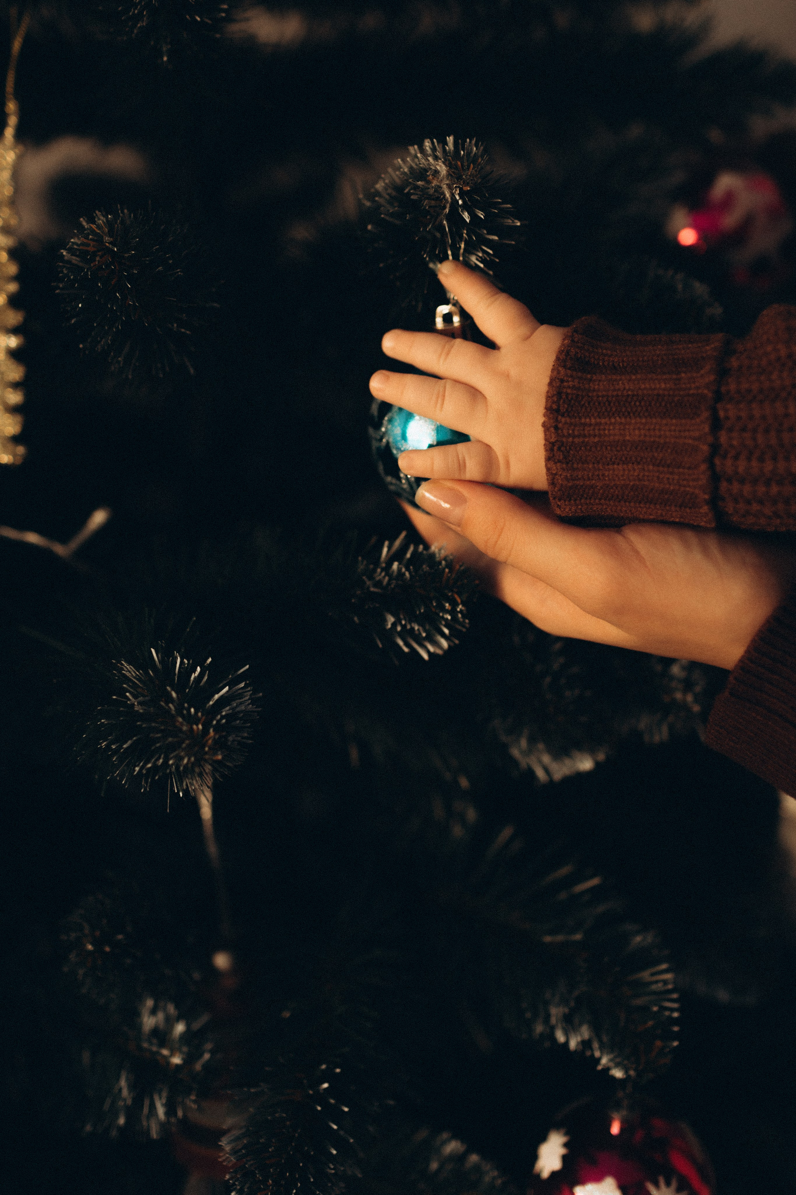 Новогодние съёмки. -