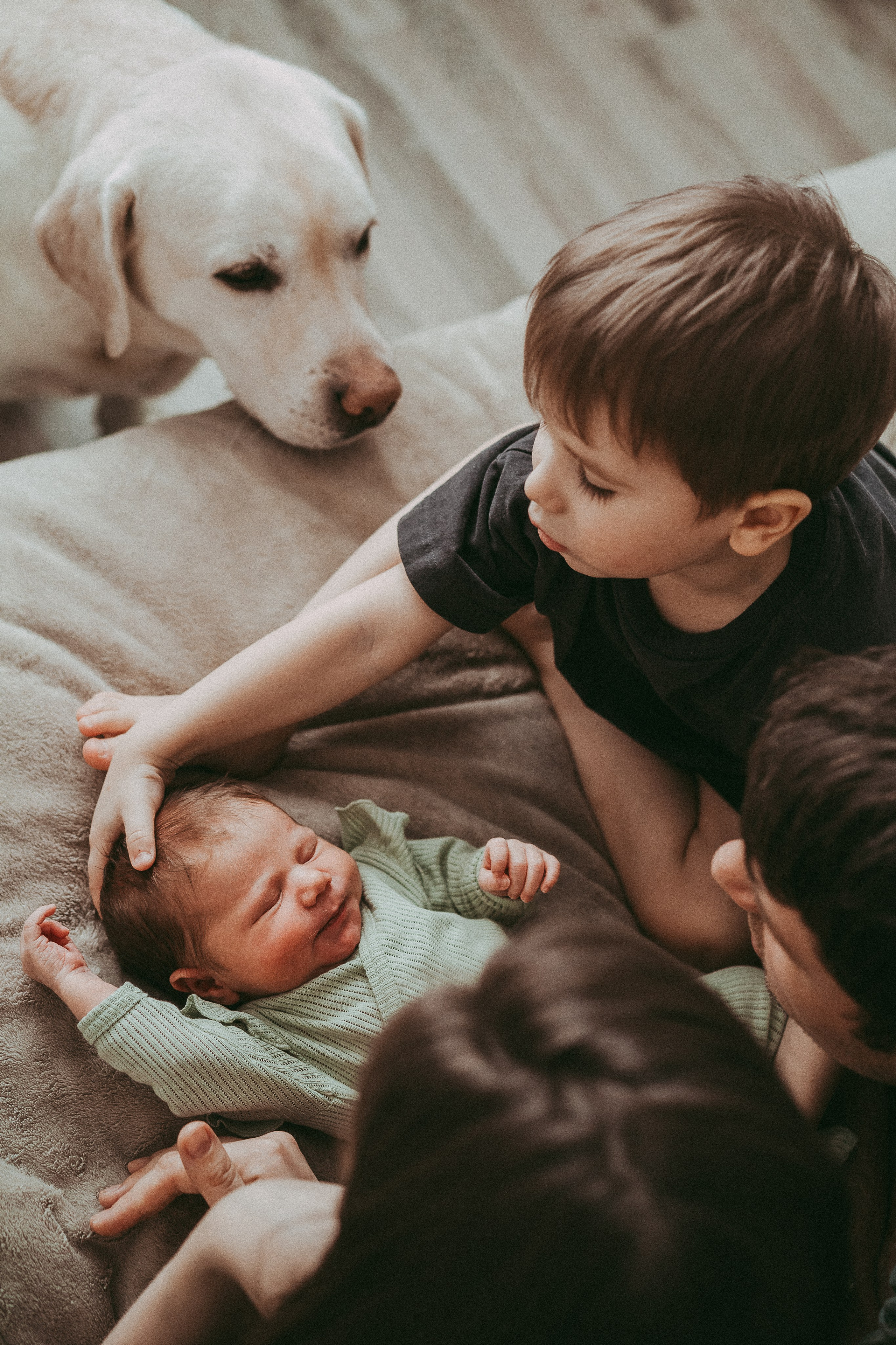 Стоимость. Семейный фотограф в Челябинске Волченко Ксения