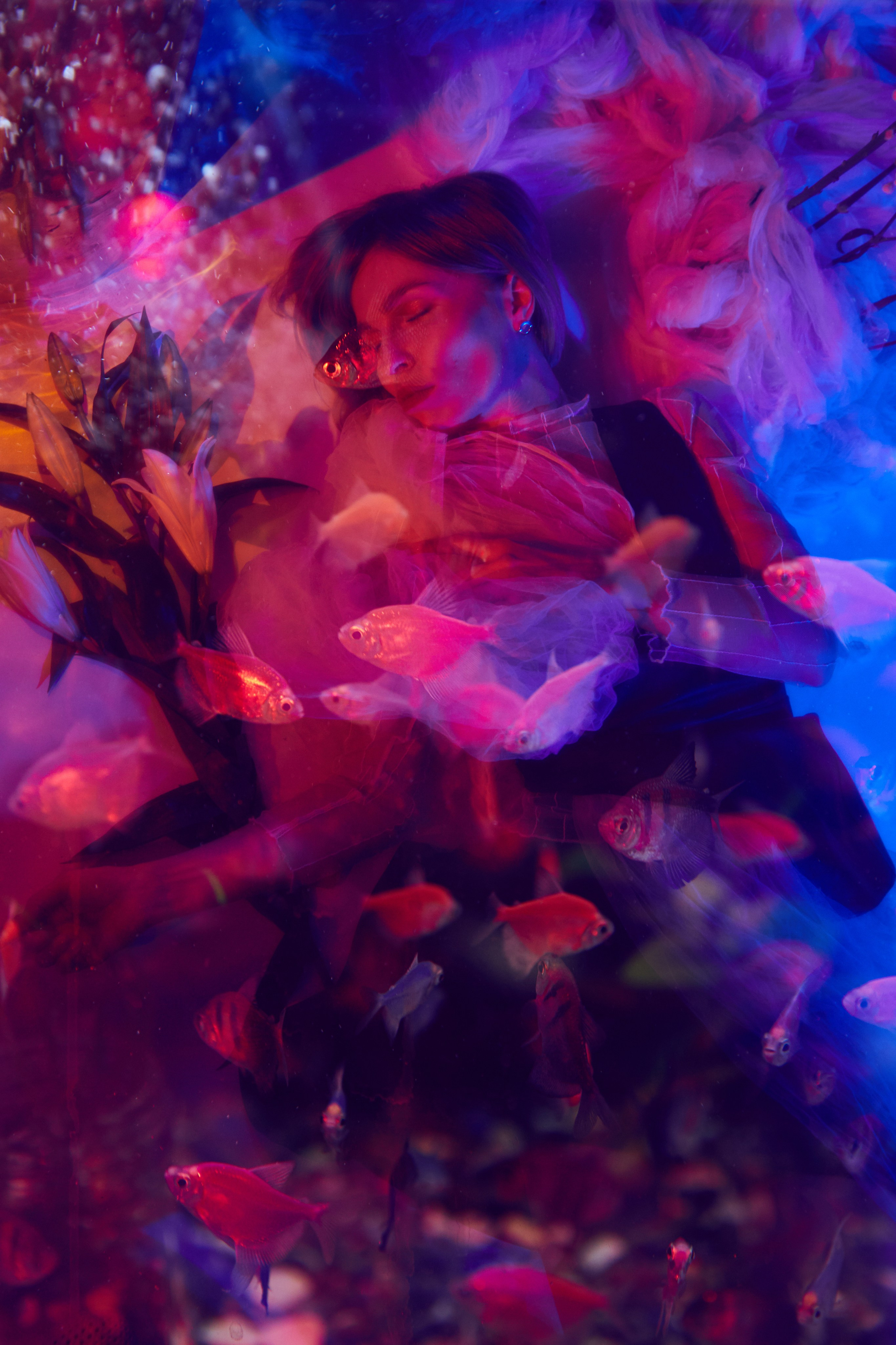 PRICE. Visual artist/photographer Dayneko Tatyana Krasnoyarsk