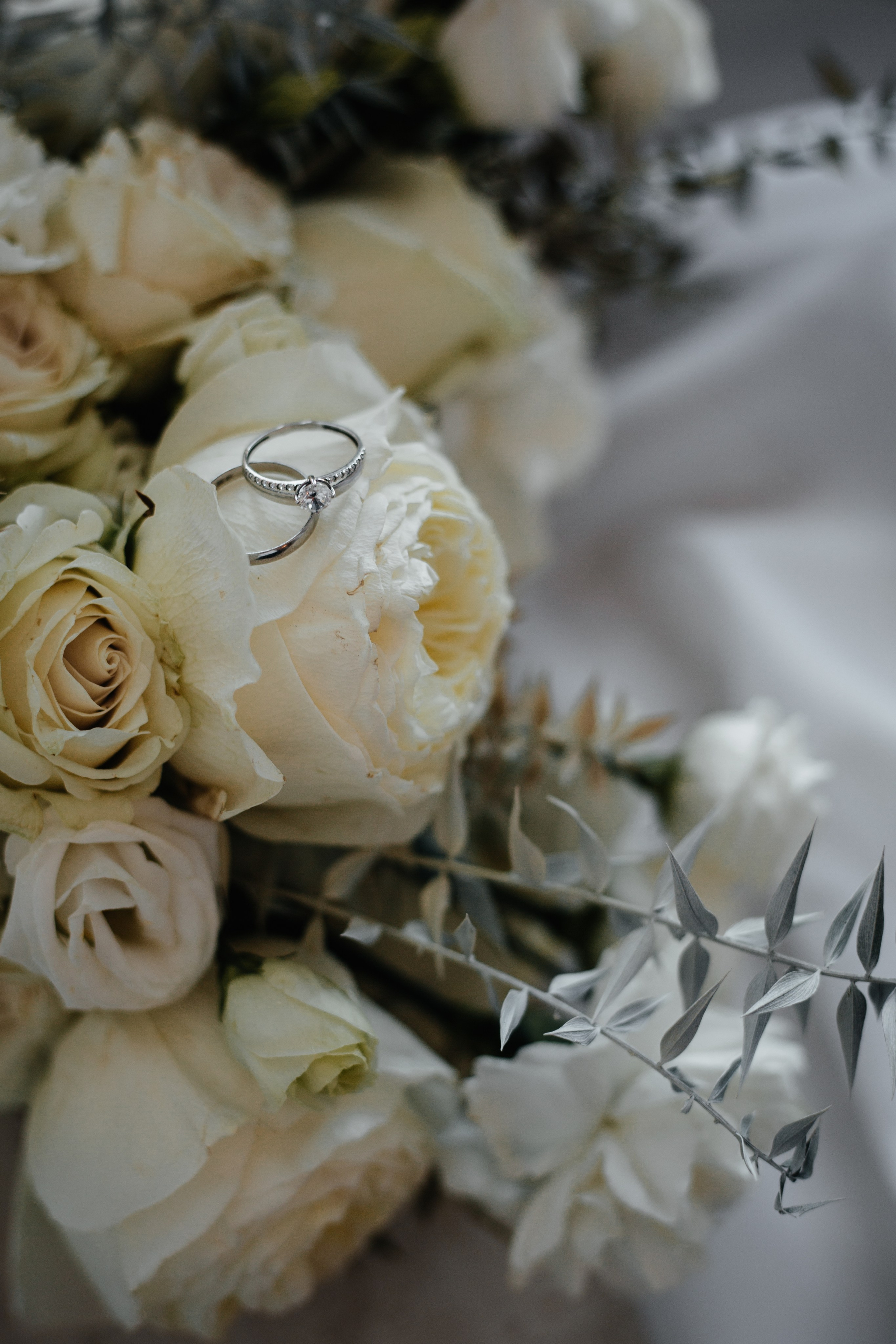 Анастасия Гольнева