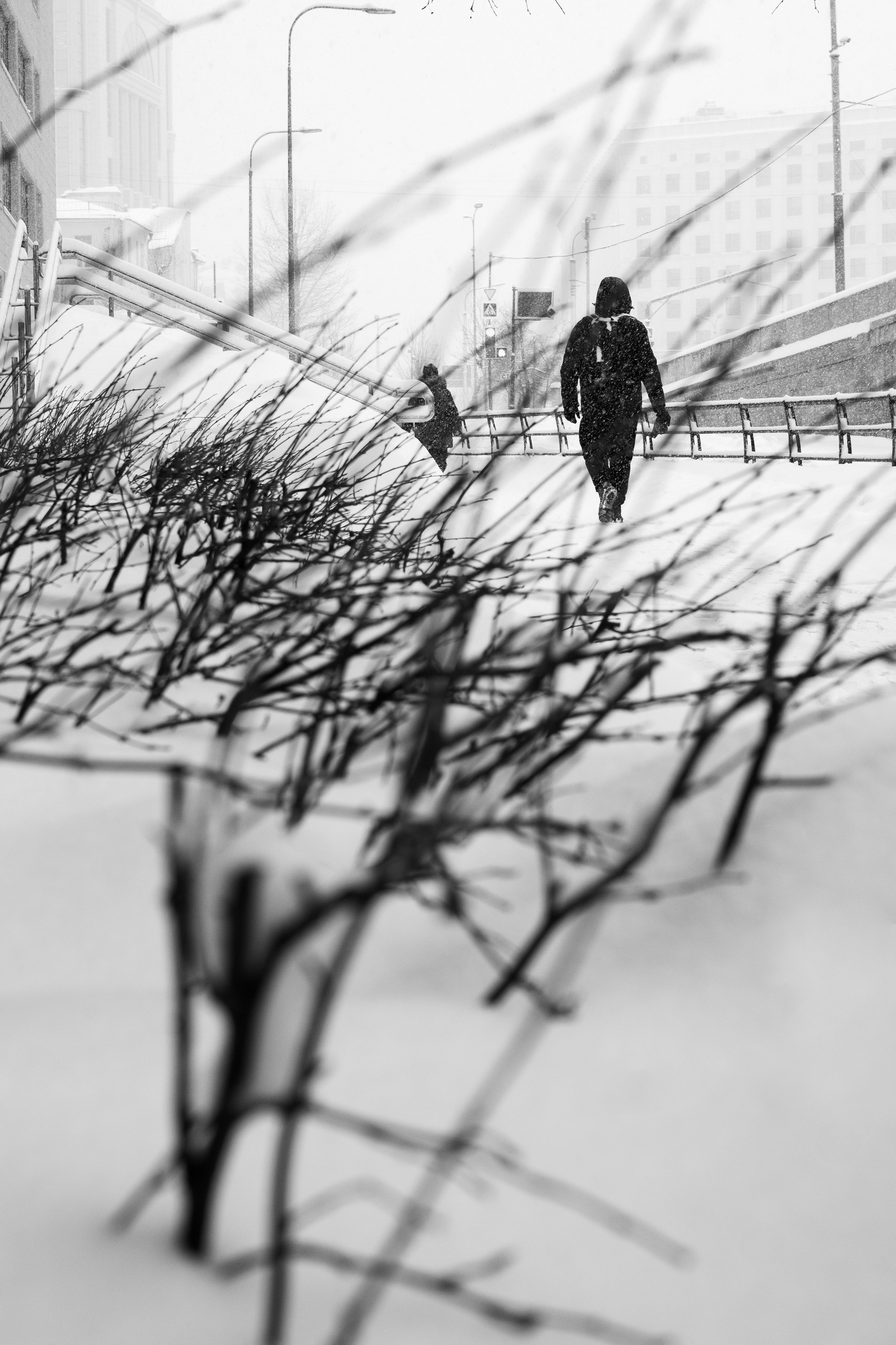 Снежная Москва. Репортажный фотограф в Москве Аида Исламова