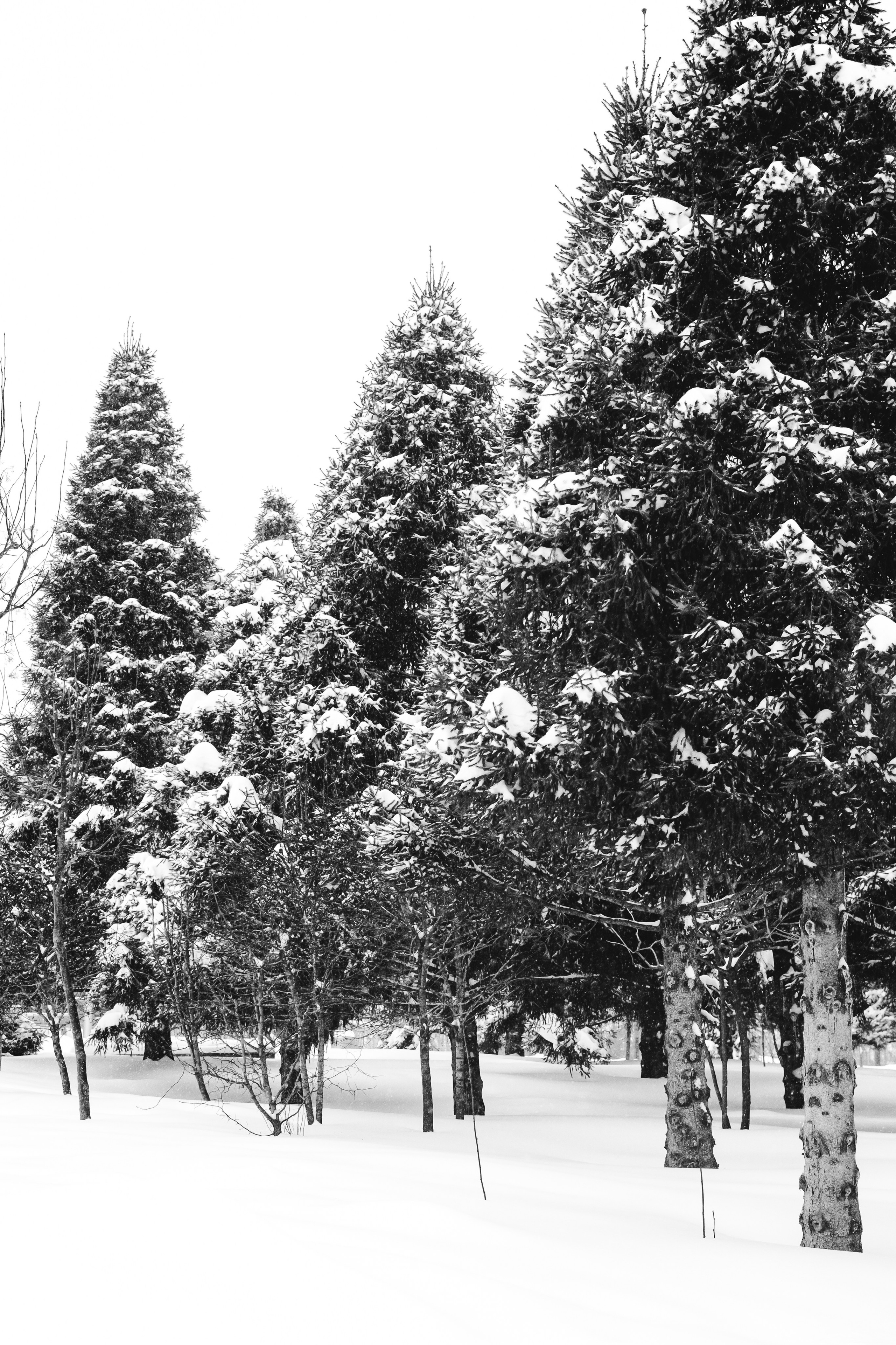 Снежная Москва. Репортажный фотограф в Москве Аида Исламова