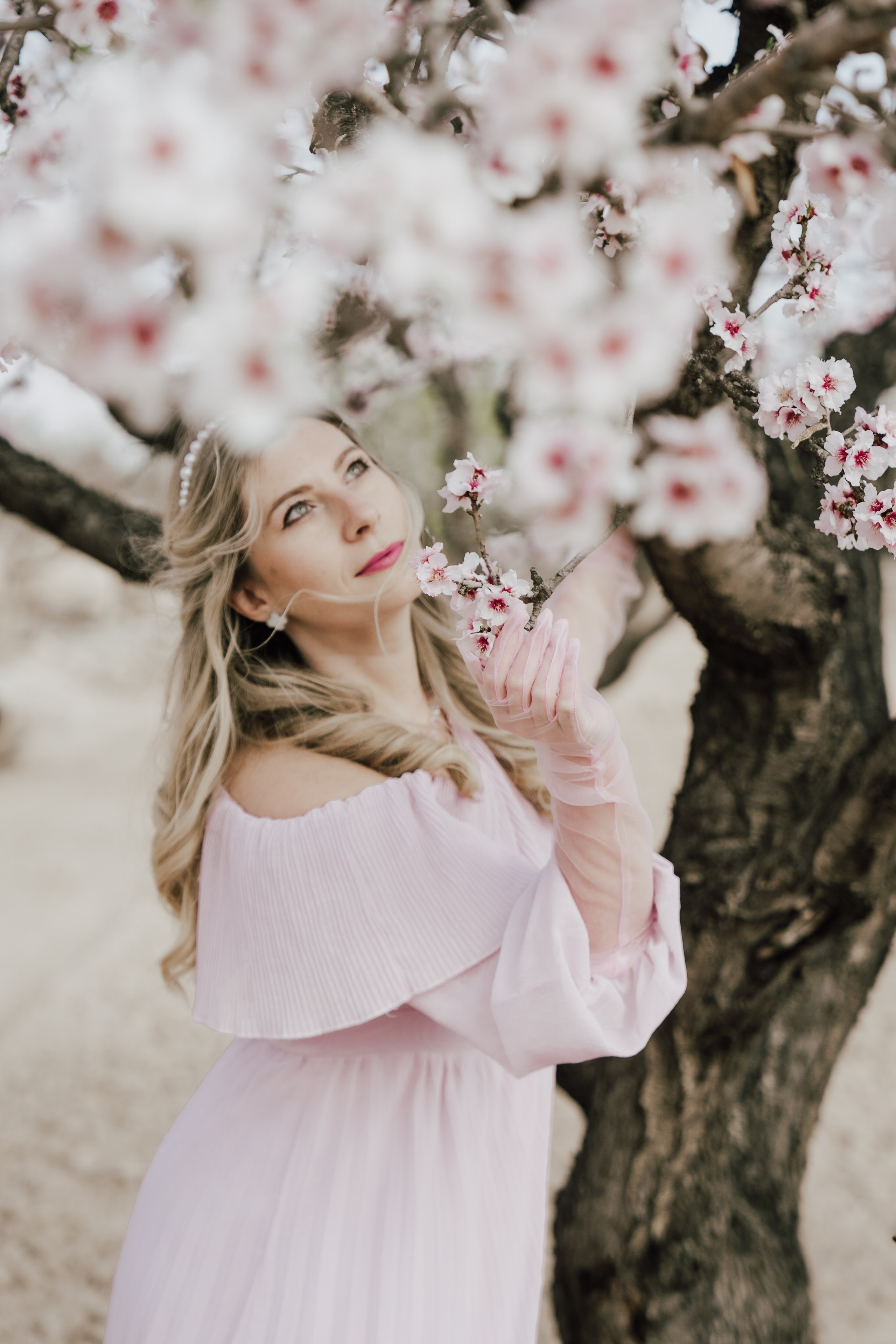 Цветение миндаля в Аликанте — когда и где найти локации. Фотограф в Аликанте СветЛана Константинова