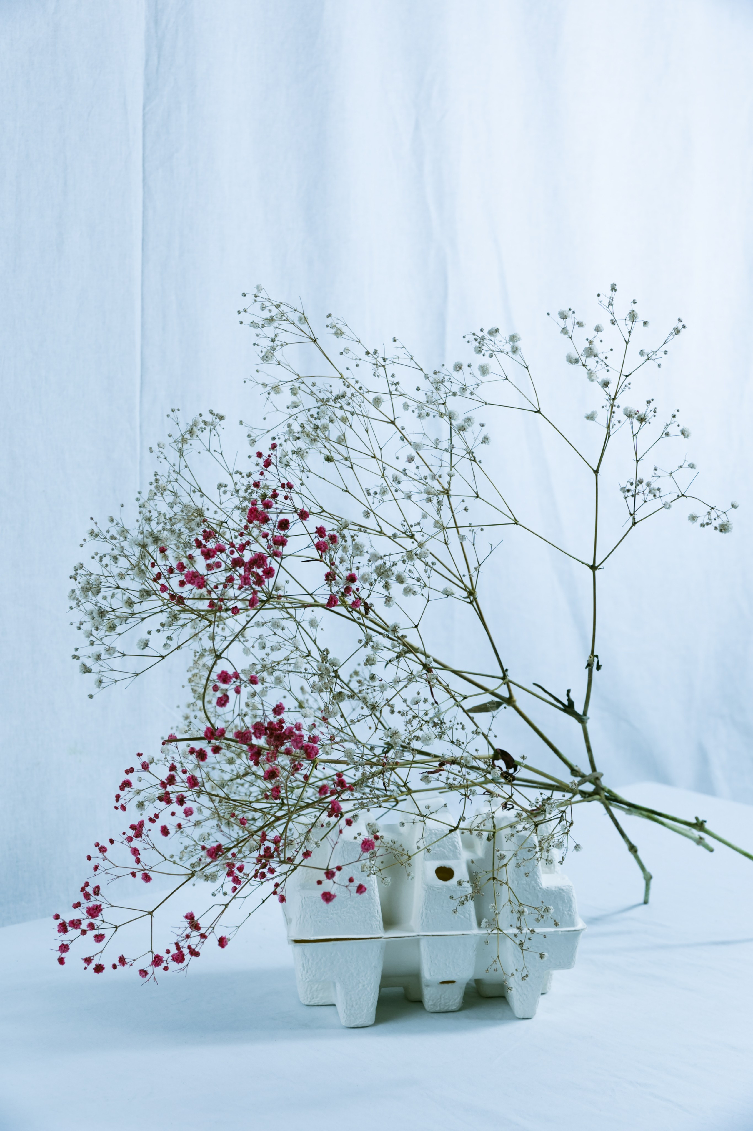 Соль. DASHA KALNINA