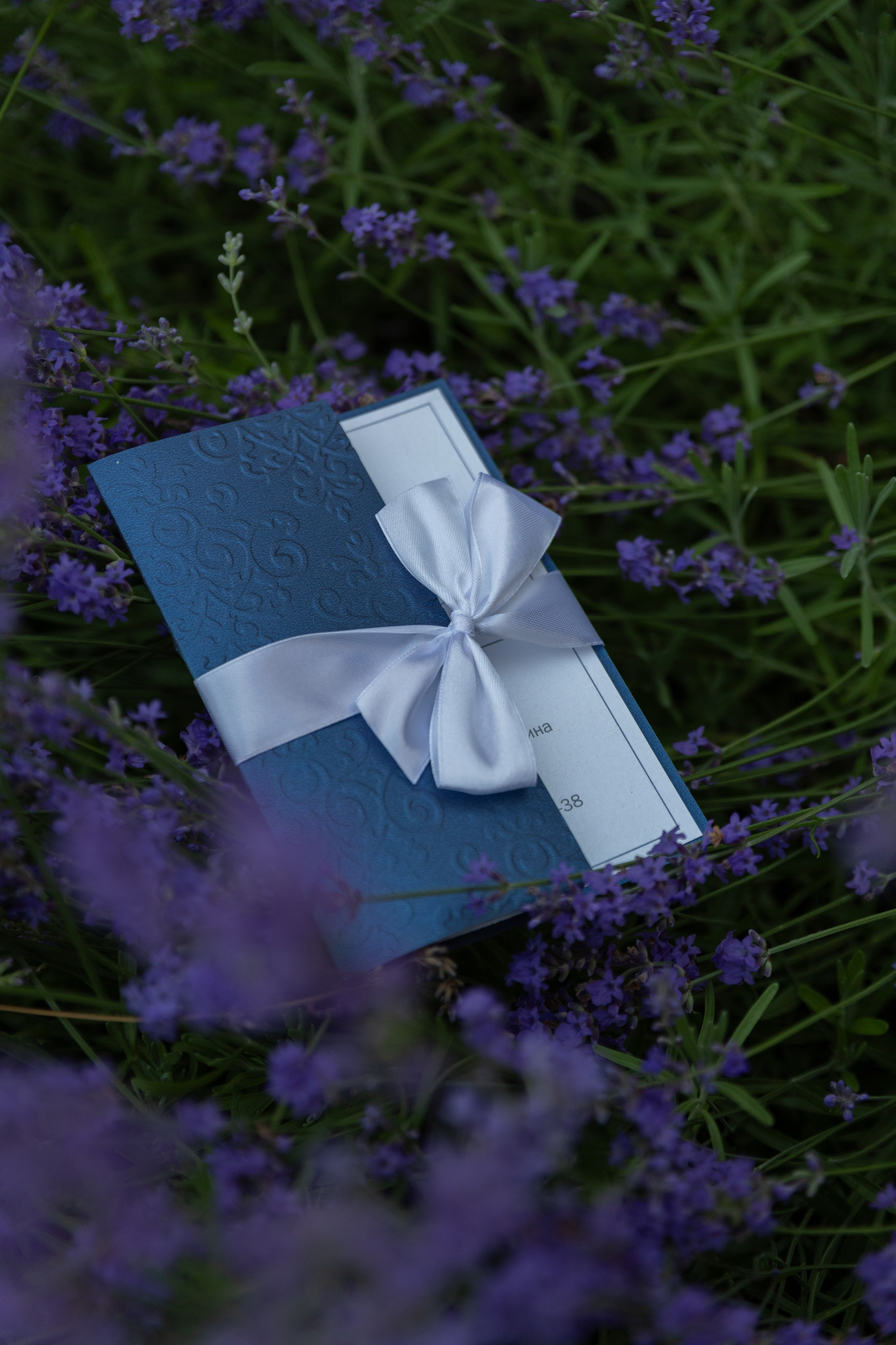 Подарочный сертификат. Семейный и женский фотограф в Москве Ирина Романова