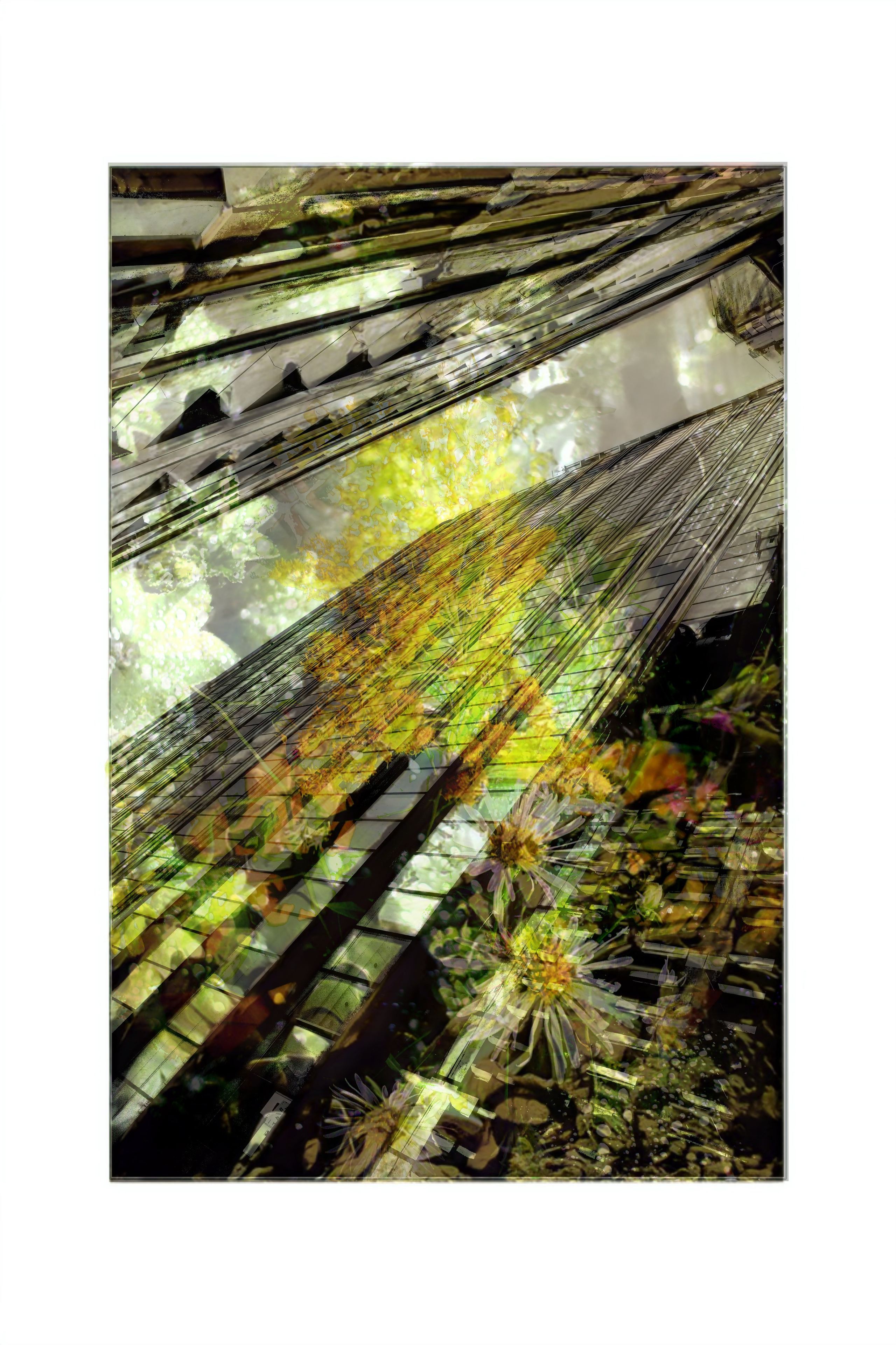 Галереи, выставки, арт-проекты. Visual artist, photographer Liana Darenskaya, Moscow