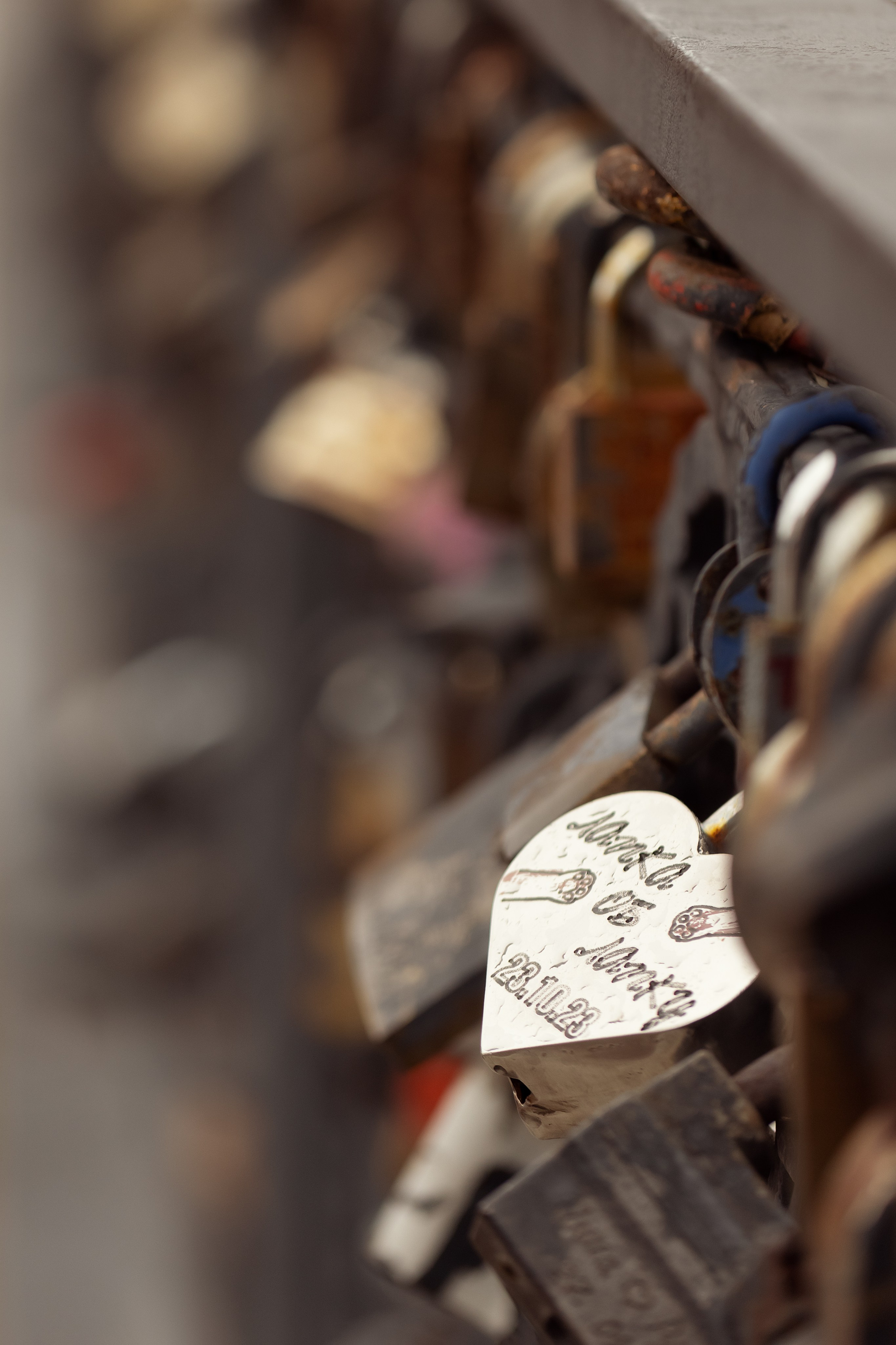 Поздняя осень в Калининграде. Семейный фотограф в Калининграде Надежда Гриднева