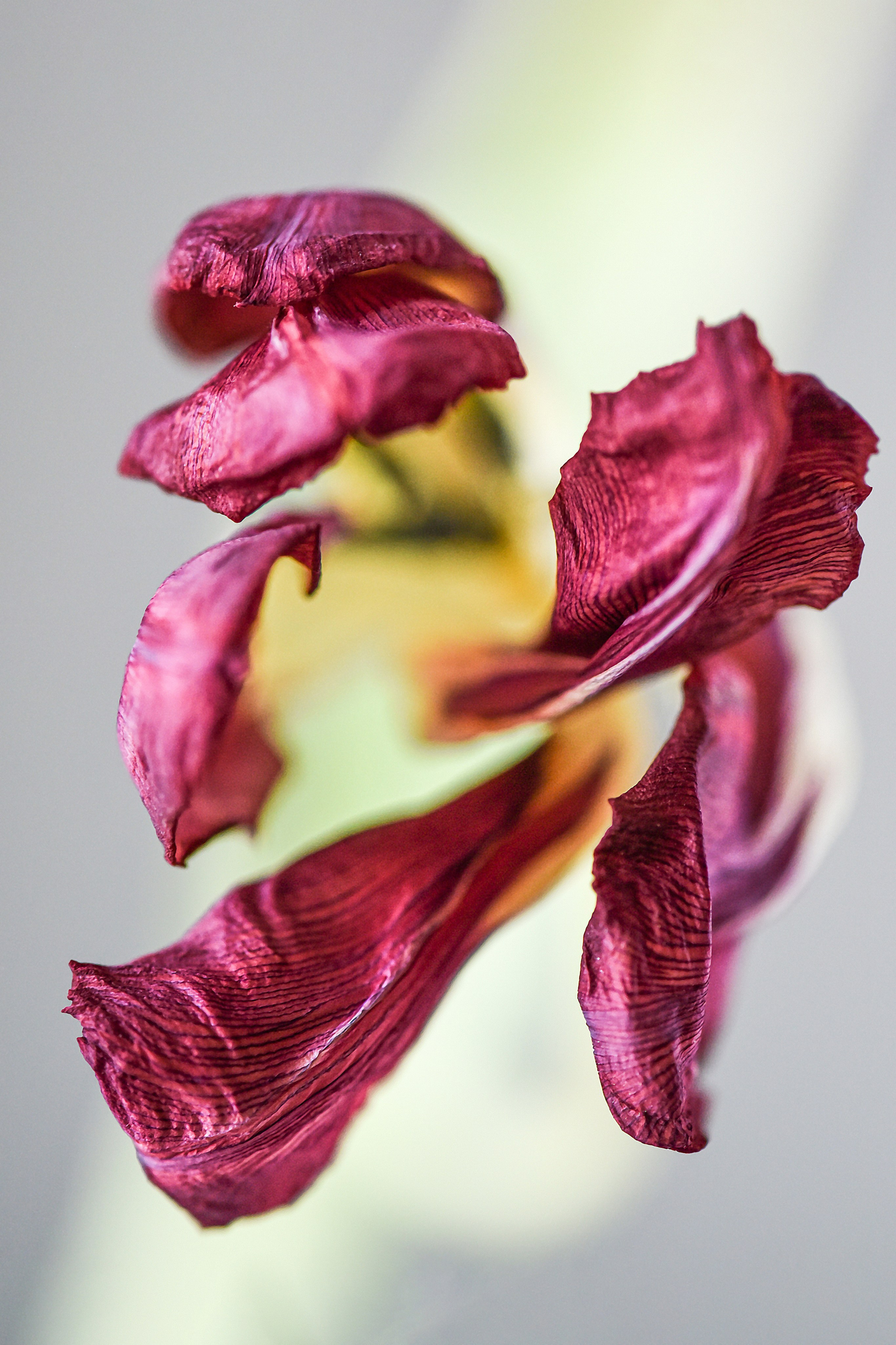 Кузьменко Людмила. ARTEXPOPHOTO