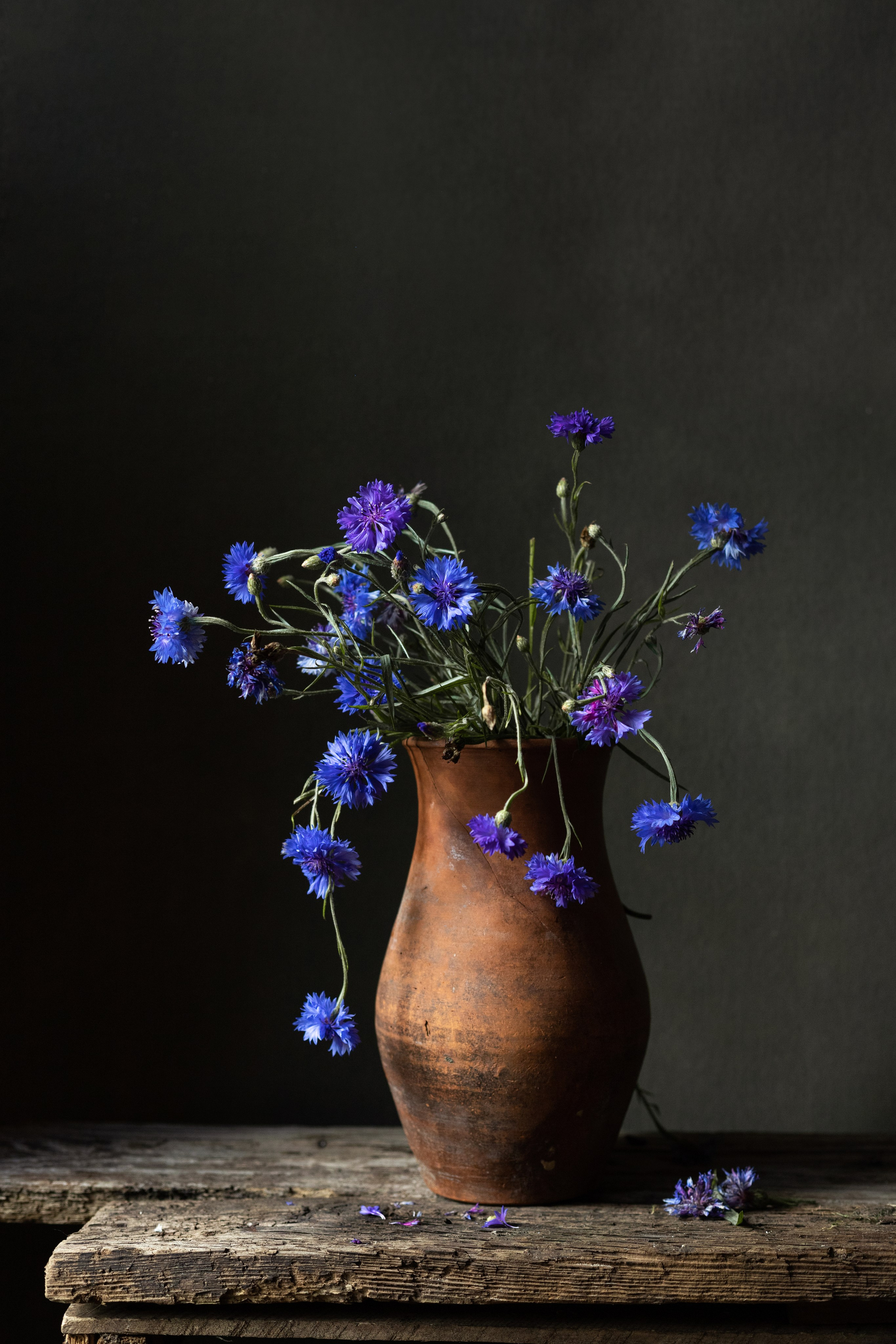 НАТЮРМОРТЫ