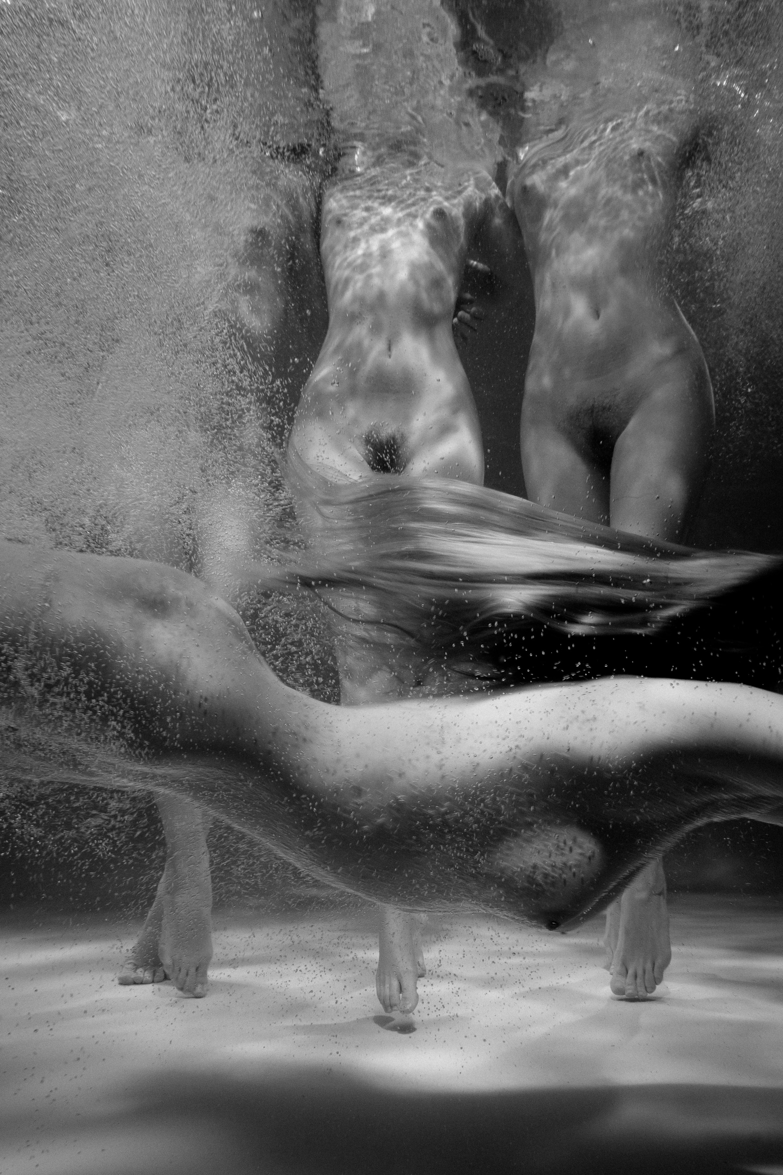 Portfolio Award 2025