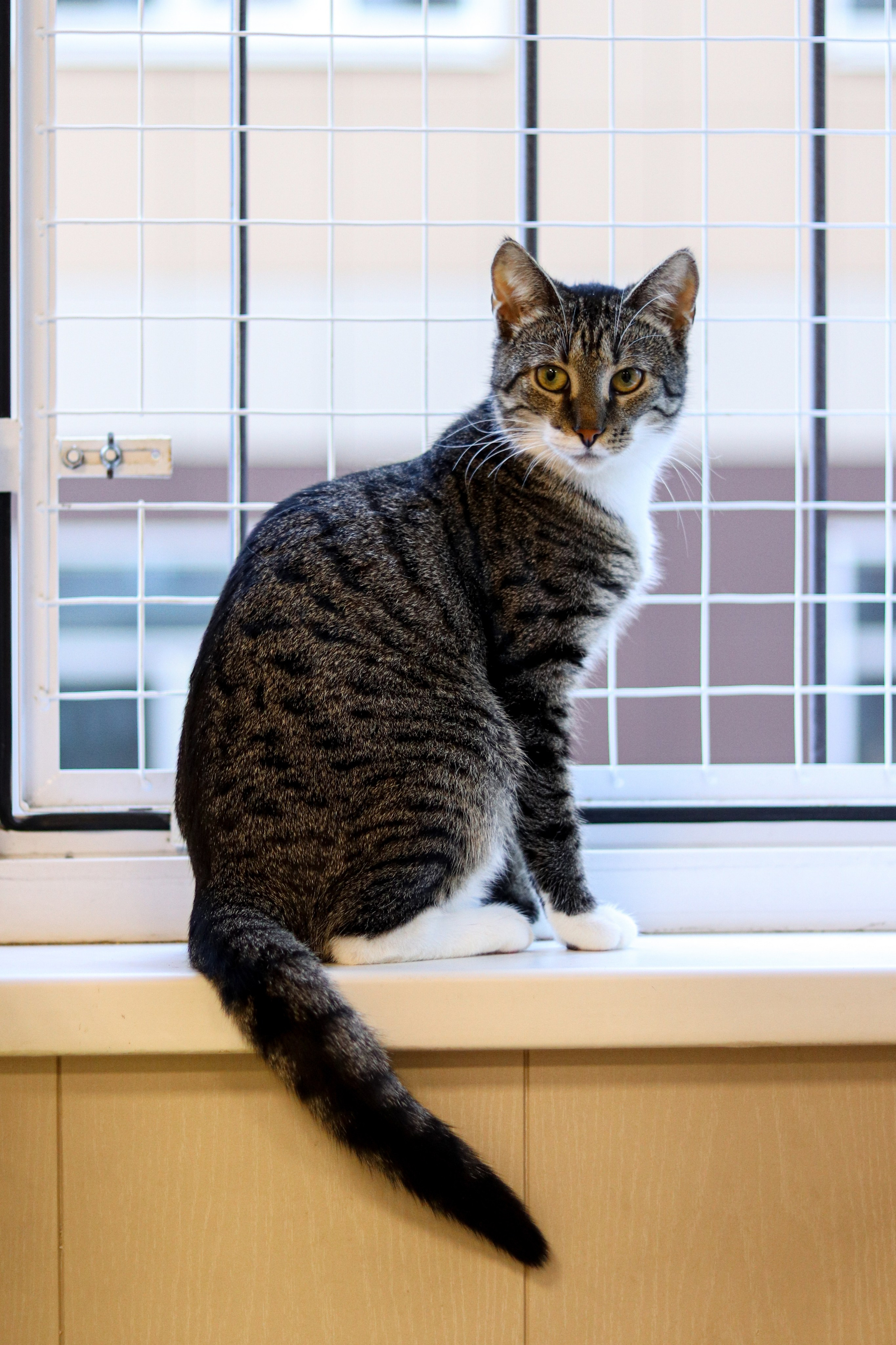 Репортажная съёмка. Ивентный фотограф в Санкт-Петербурге Олег Комков