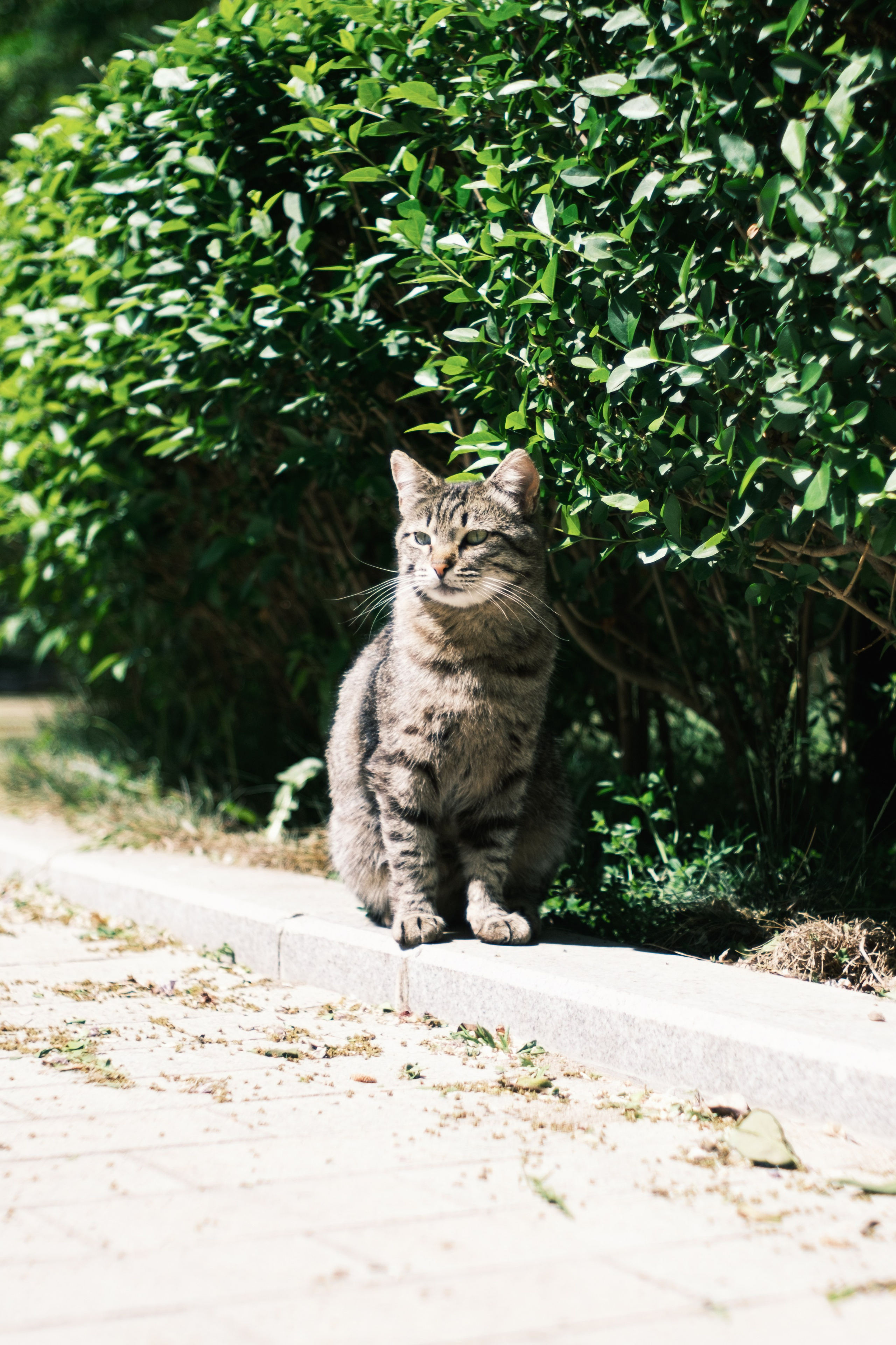 Астрахань. Сайт фотографа Дмитрия Батенёва