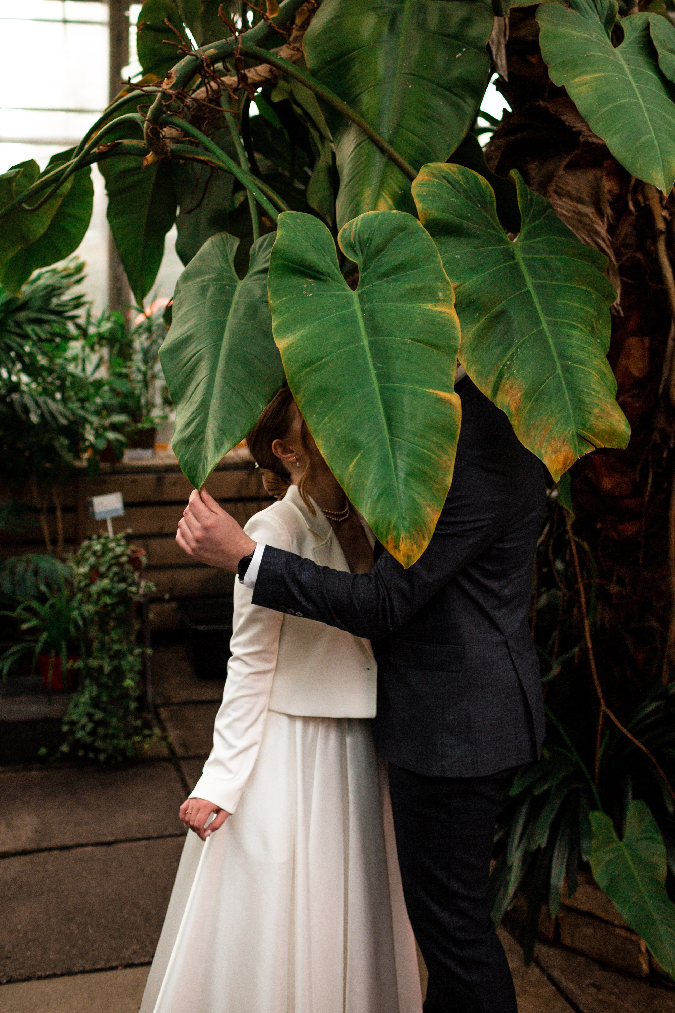 Идея для фотосессии в Оранжерее: молодожены прячутся за листом пальмы.