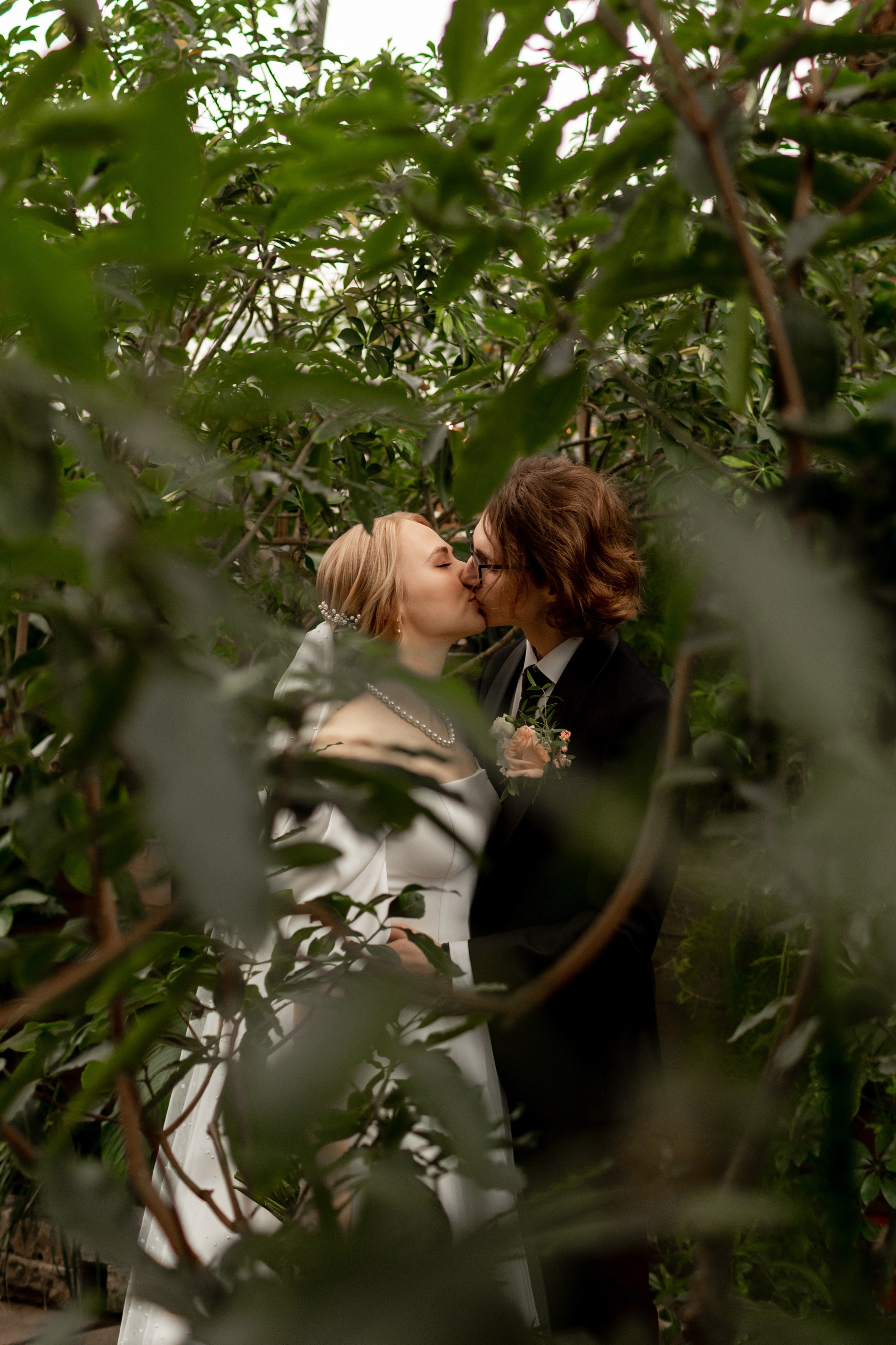 Свадьба в Оранжерее Таврического сада: поцелуй в зелени.