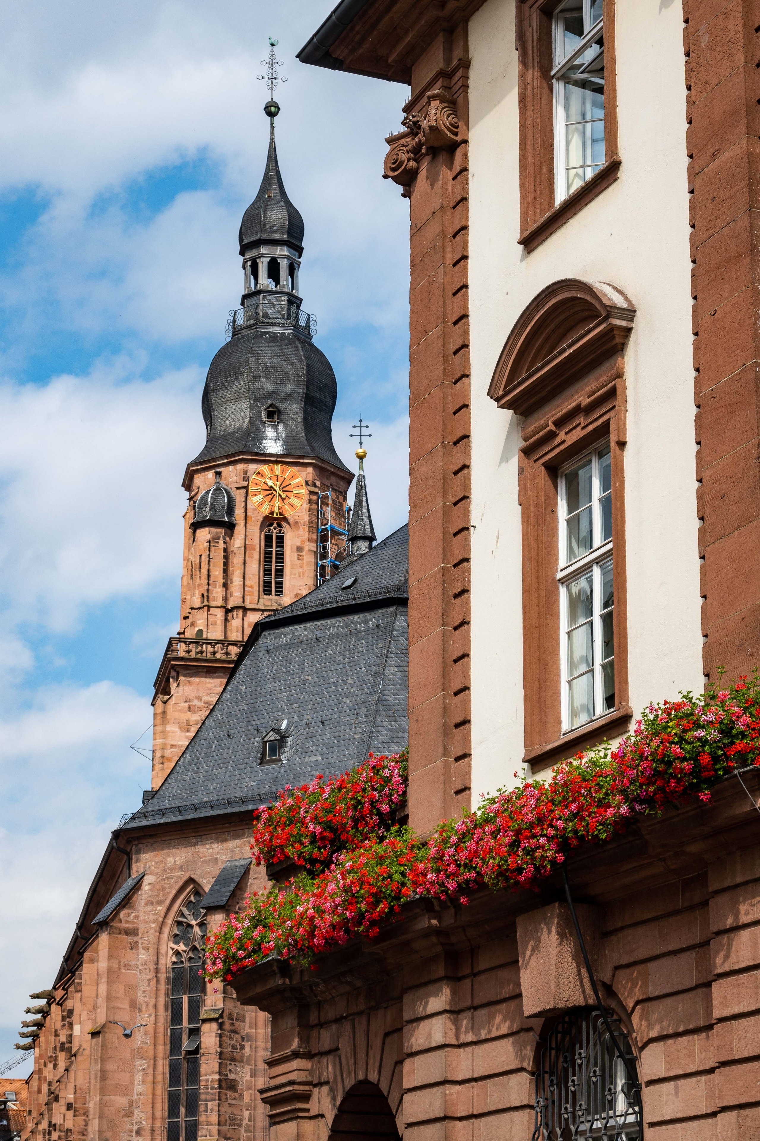 Фотограф Минск