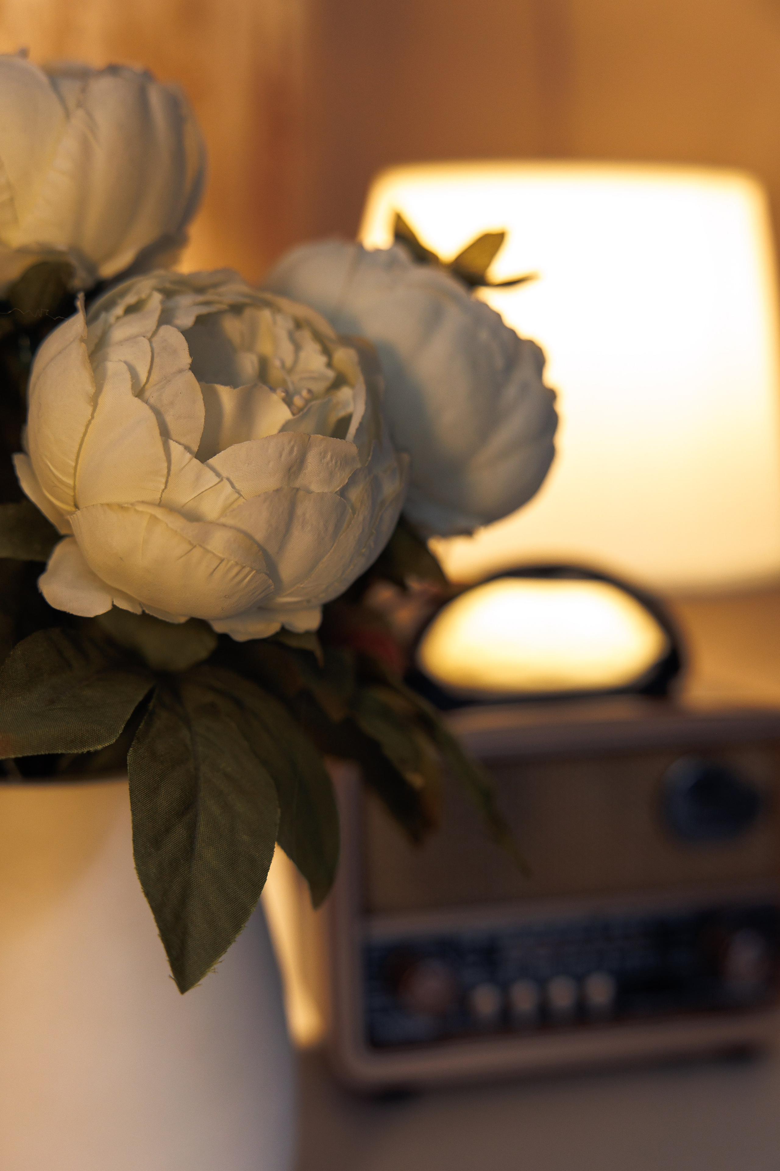 цветы с  лампой на заднем фоне