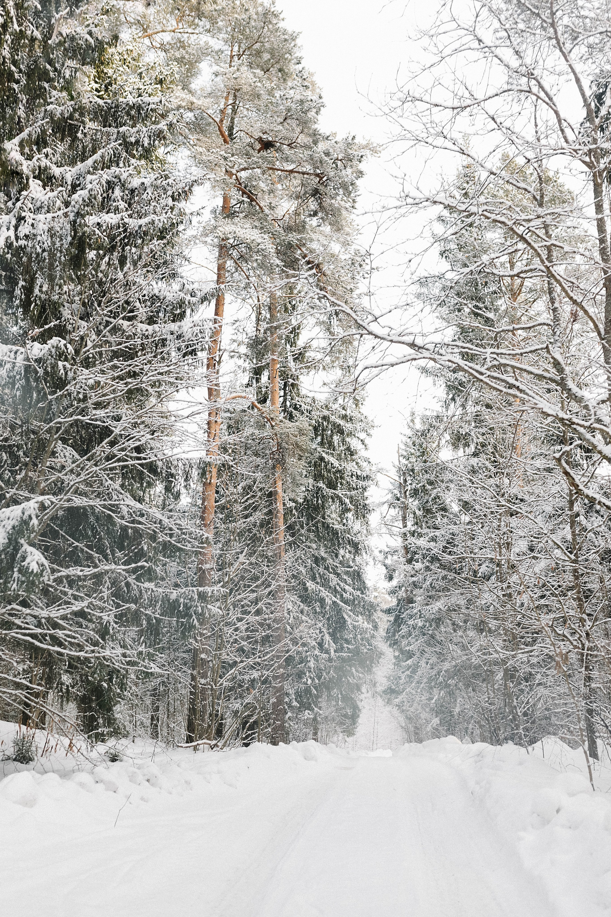 выставка 2025, выставка фотографии, выставка 2026, выставка зимней фотографии, выставка москва, фотовыставка