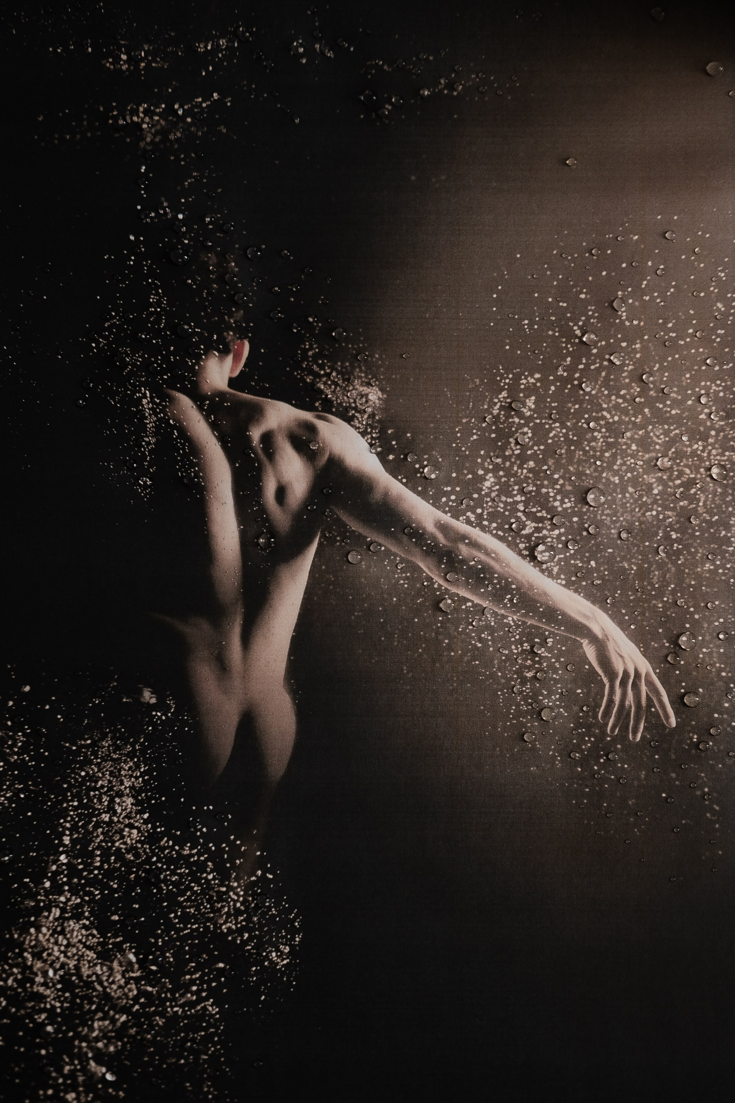 MORPHOLOGY OF THE UNIVERSE. VISUAL ARTIST. OLGA ZHDANOVA