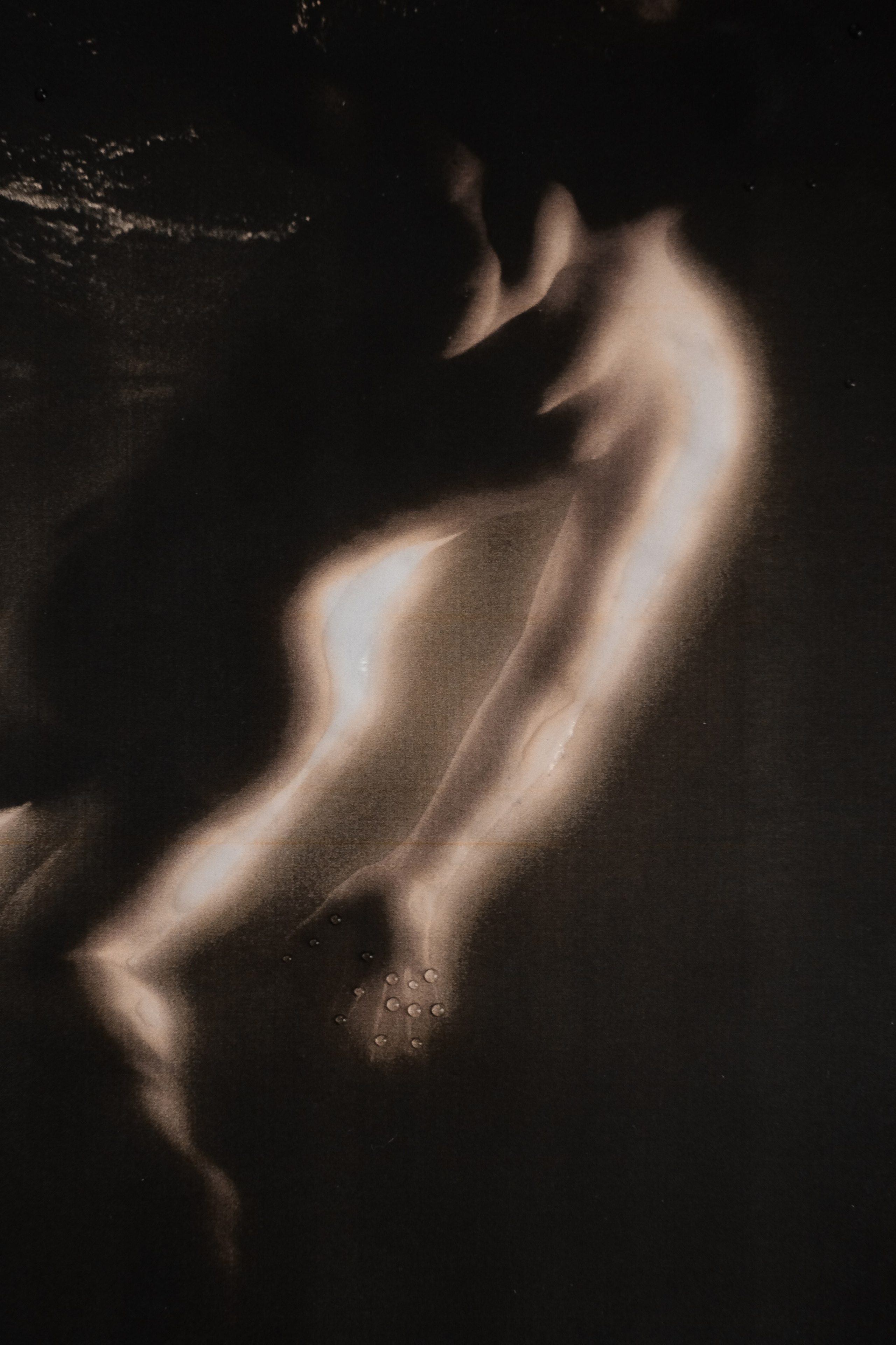 MORPHOLOGY OF THE UNIVERSE. VISUAL ARTIST. OLGA ZHDANOVA
