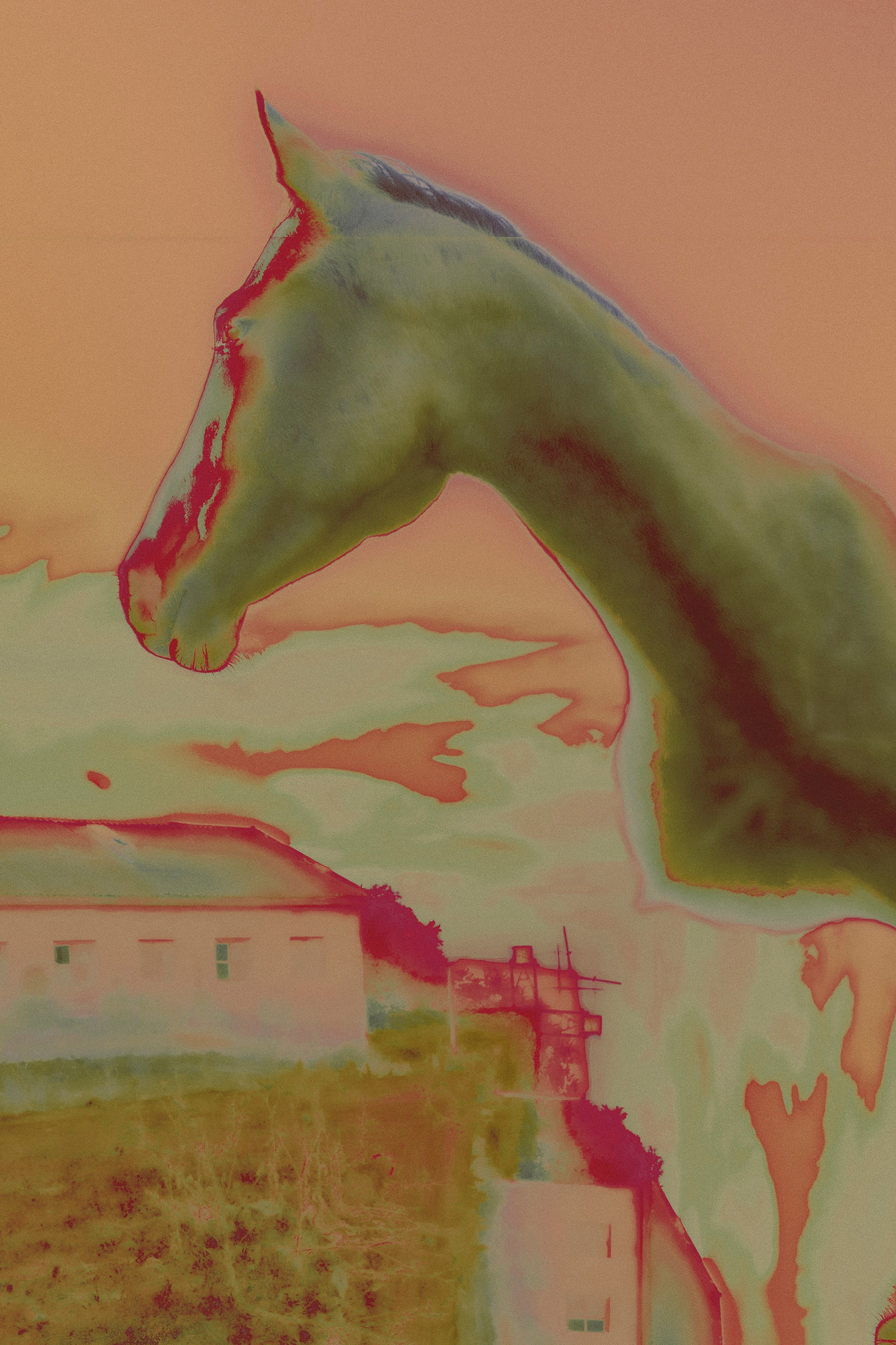 ХРАНИТЕЛИ. Визуальный артист Наташа Солнцева