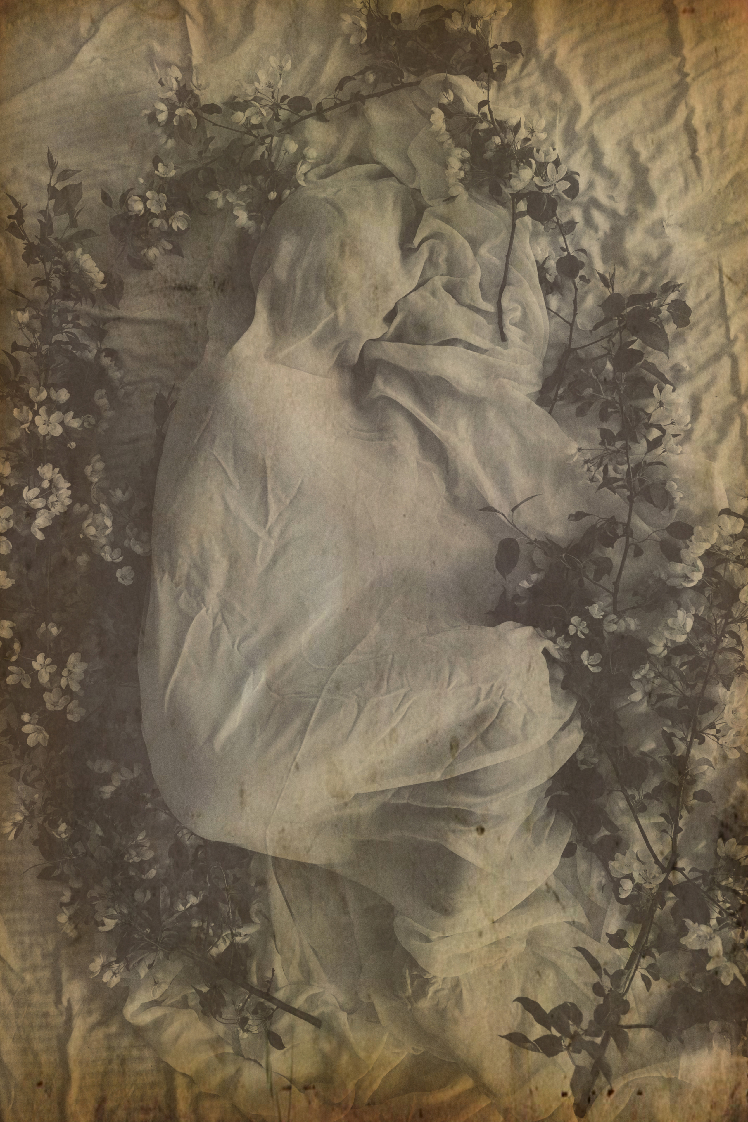 Свадебный проект «РОМЕО И ДЖУЛЬЕТТА». Фотограф в Омске Екатерина Павлова