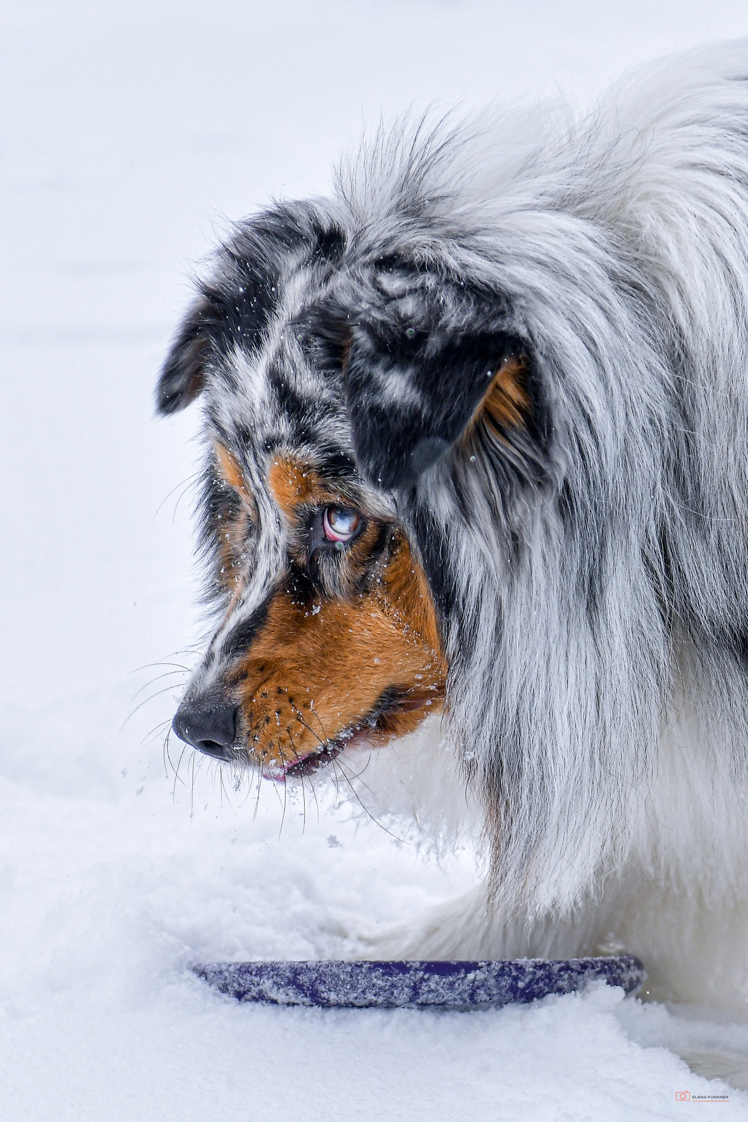 Свой взгляд через объектив