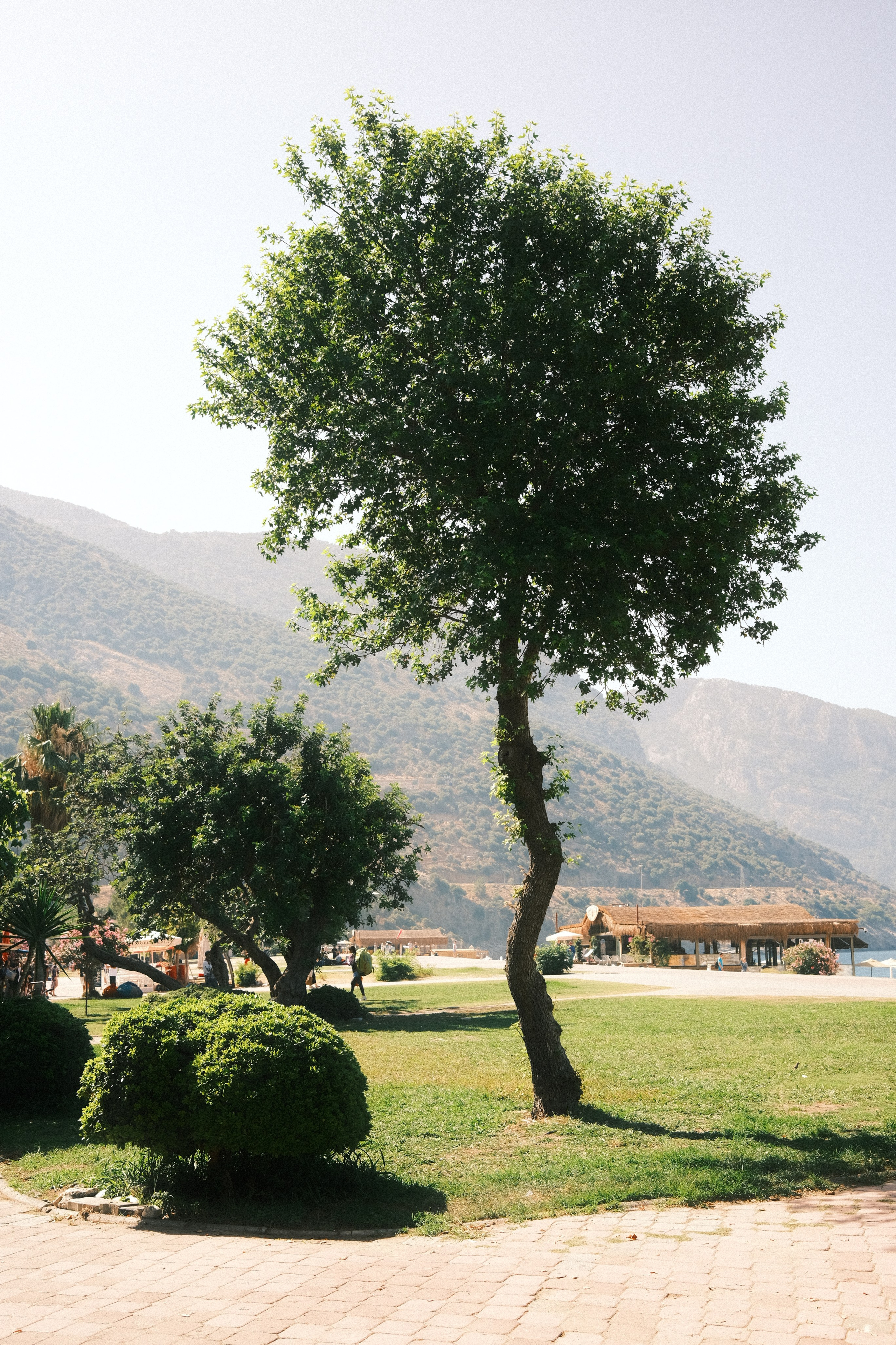 Олюдениз и Kassandra Boutique Hotel. Семейная фотография, Анастасия Руднева, Москва