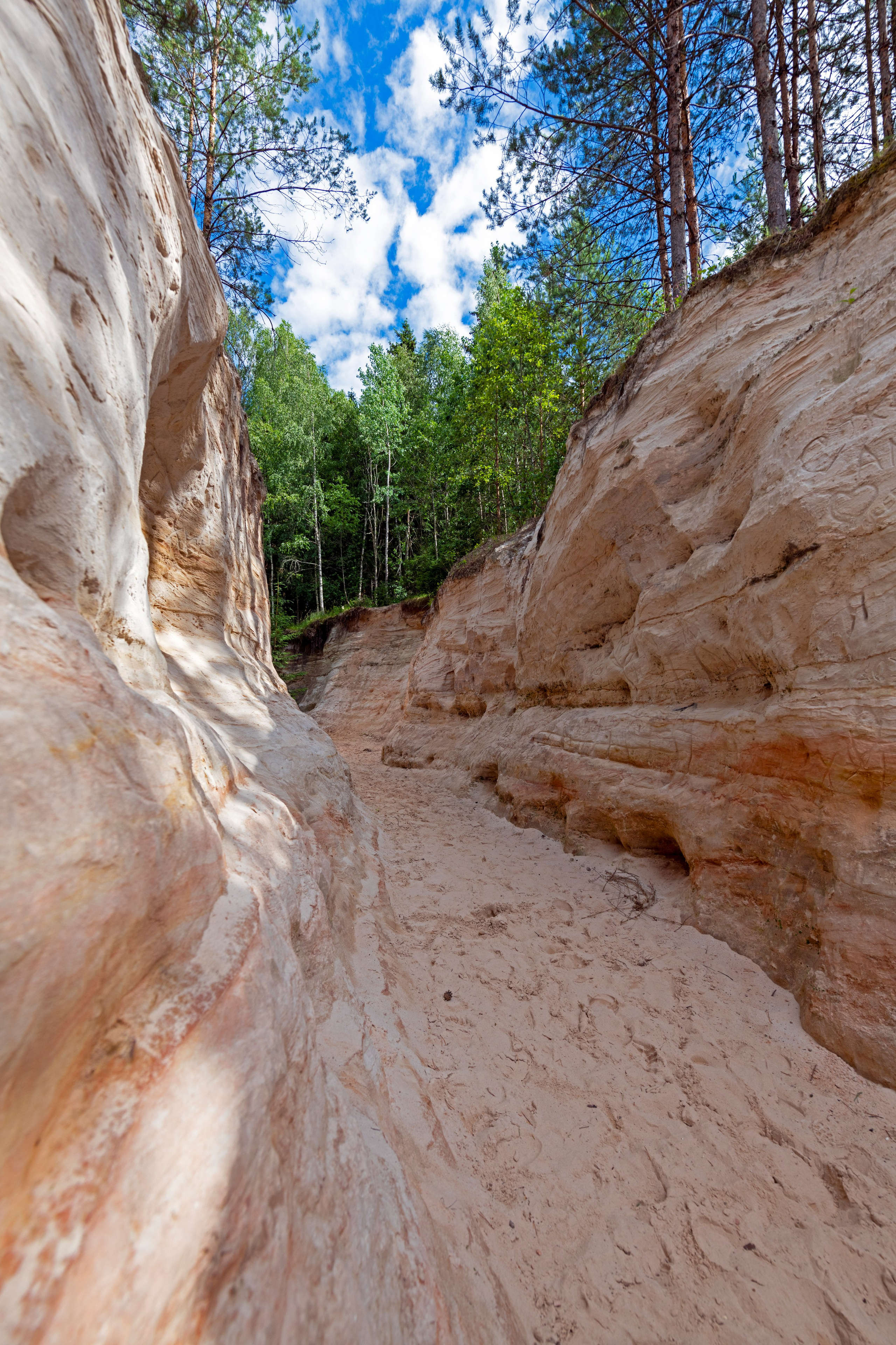 От прошлого к будущему авиации через фотографию