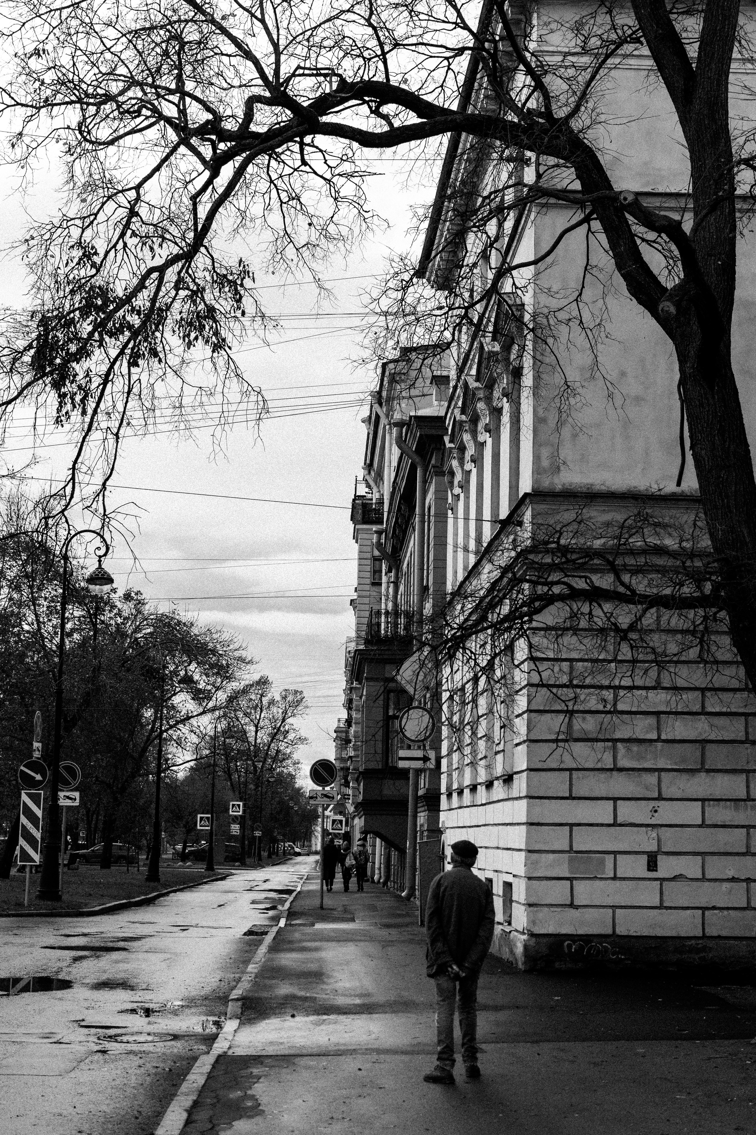 На Васильевском