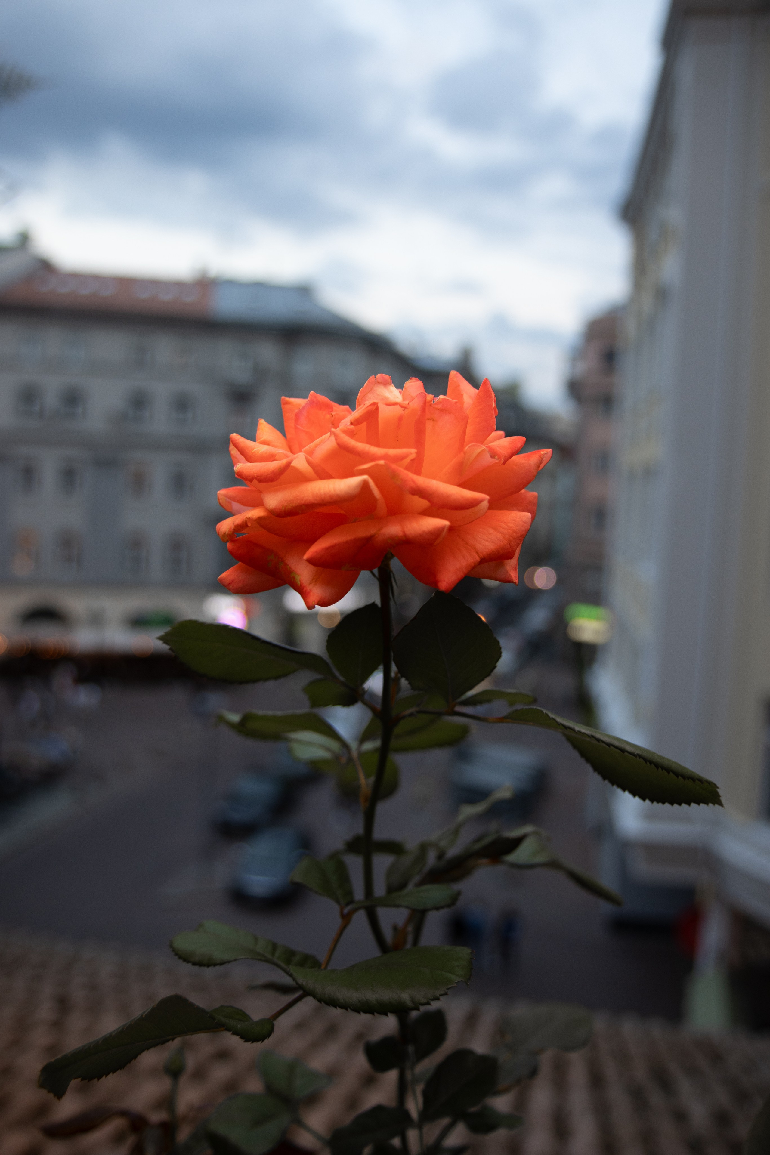 Фотограф, получающий удовольствие от своей работы