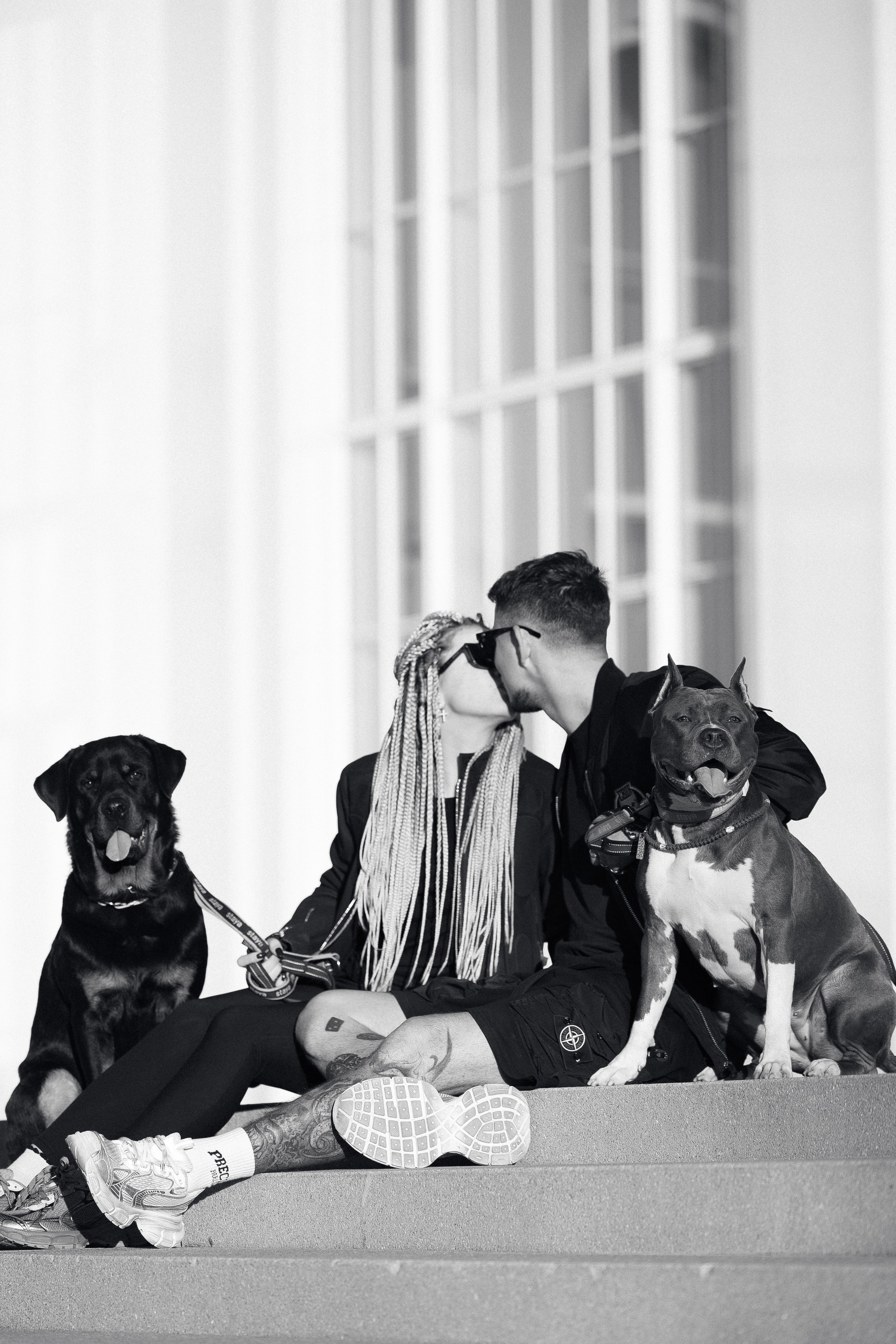 Прайс. Фотограф и видеограф анималист Аганина Дарья