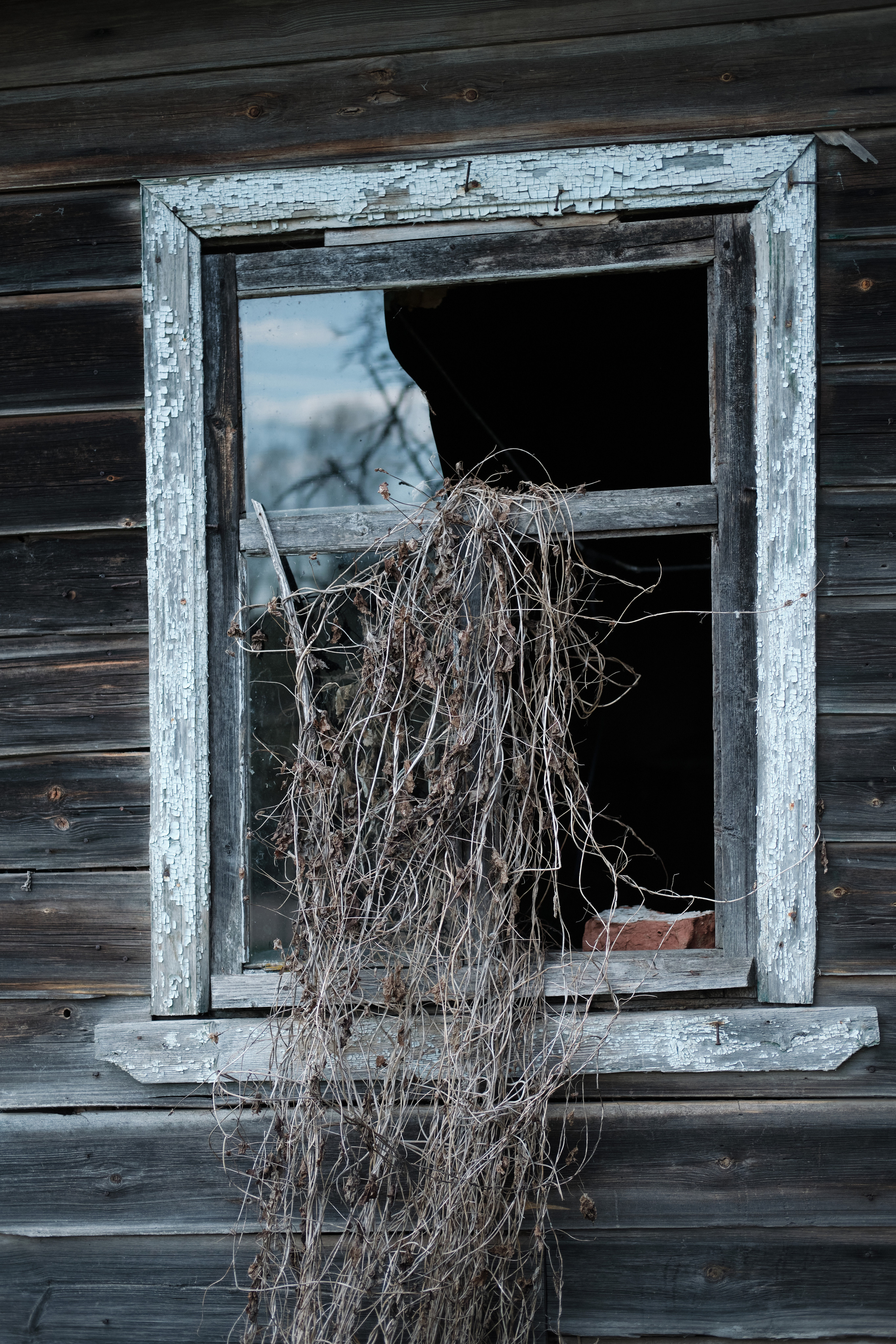 1579 взрослых шагов