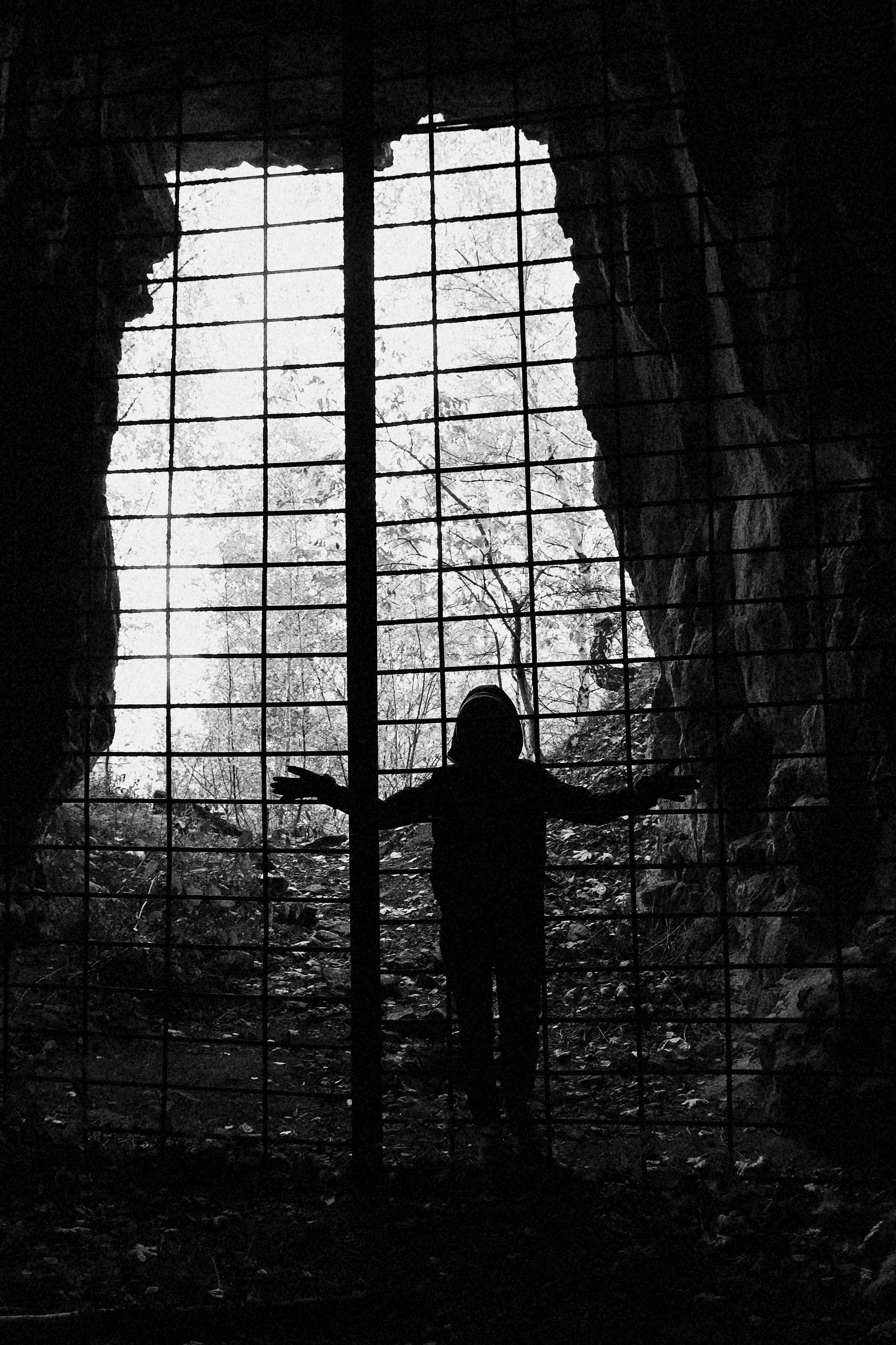 Смотрят. Художник Екатерина Оленина